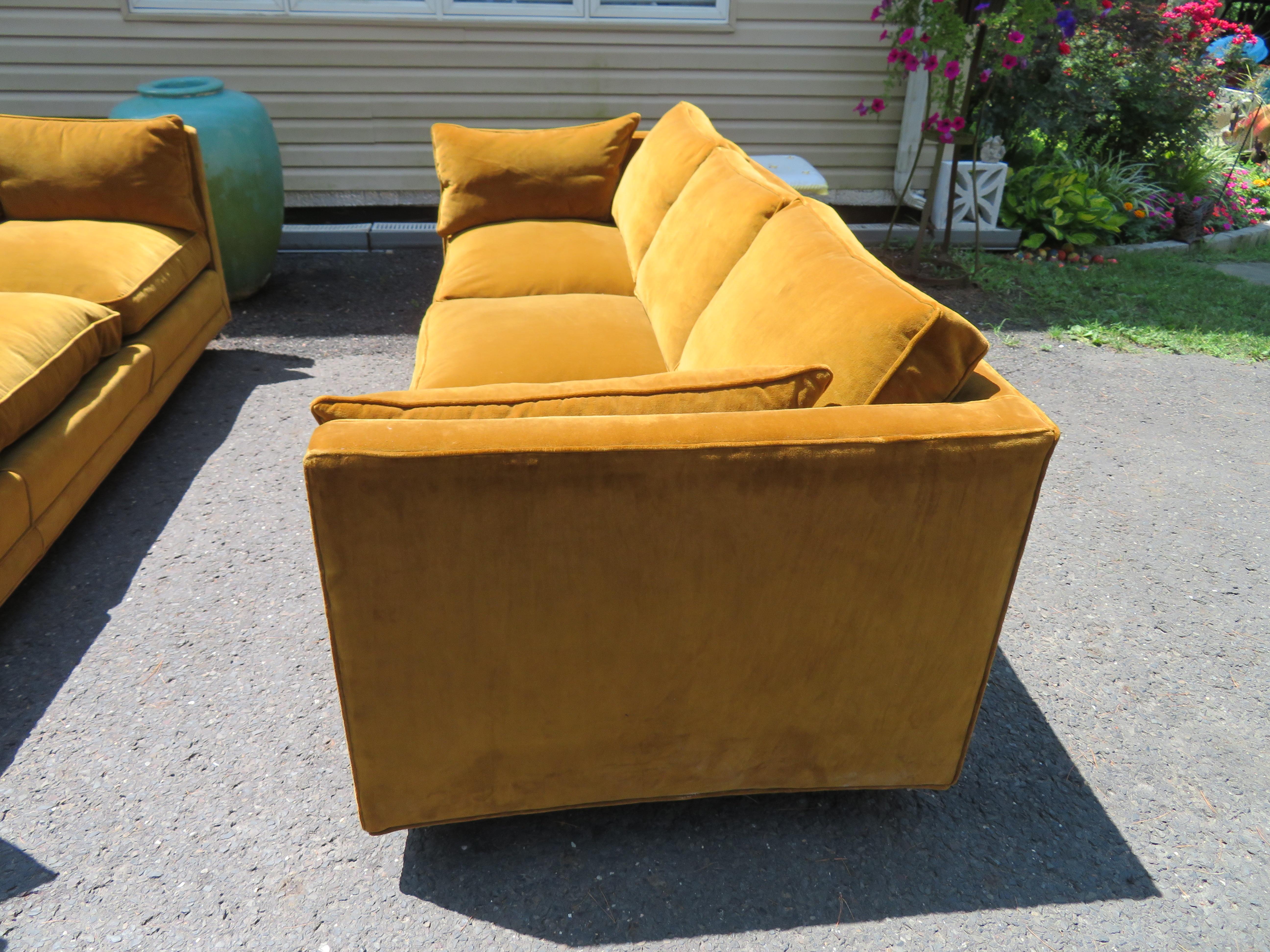 Upholstery Scrumptious Pair Harvey Probber Butterscotch Even Arm Sofas Mid-Century Modern For Sale