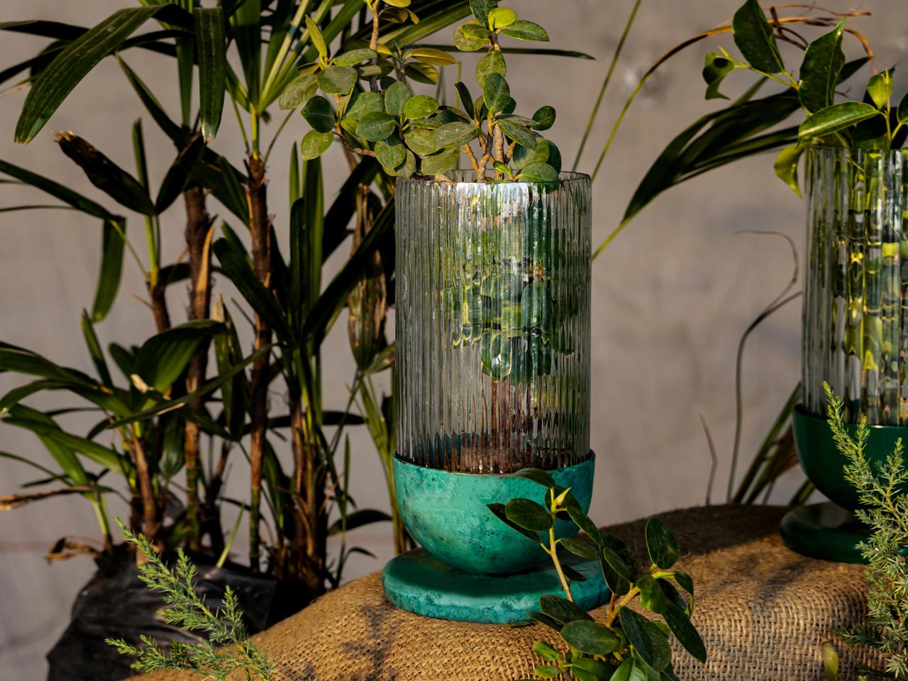 La famille Scuba, qui ne cesse de s'agrandir, s'enrichit d'une nouvelle merveille. Le Scuba Planter est la réponse aux besoins de tous les types de parents de plantes, du débutant au parent expérimenté, du parent fier au parent qui prend les choses