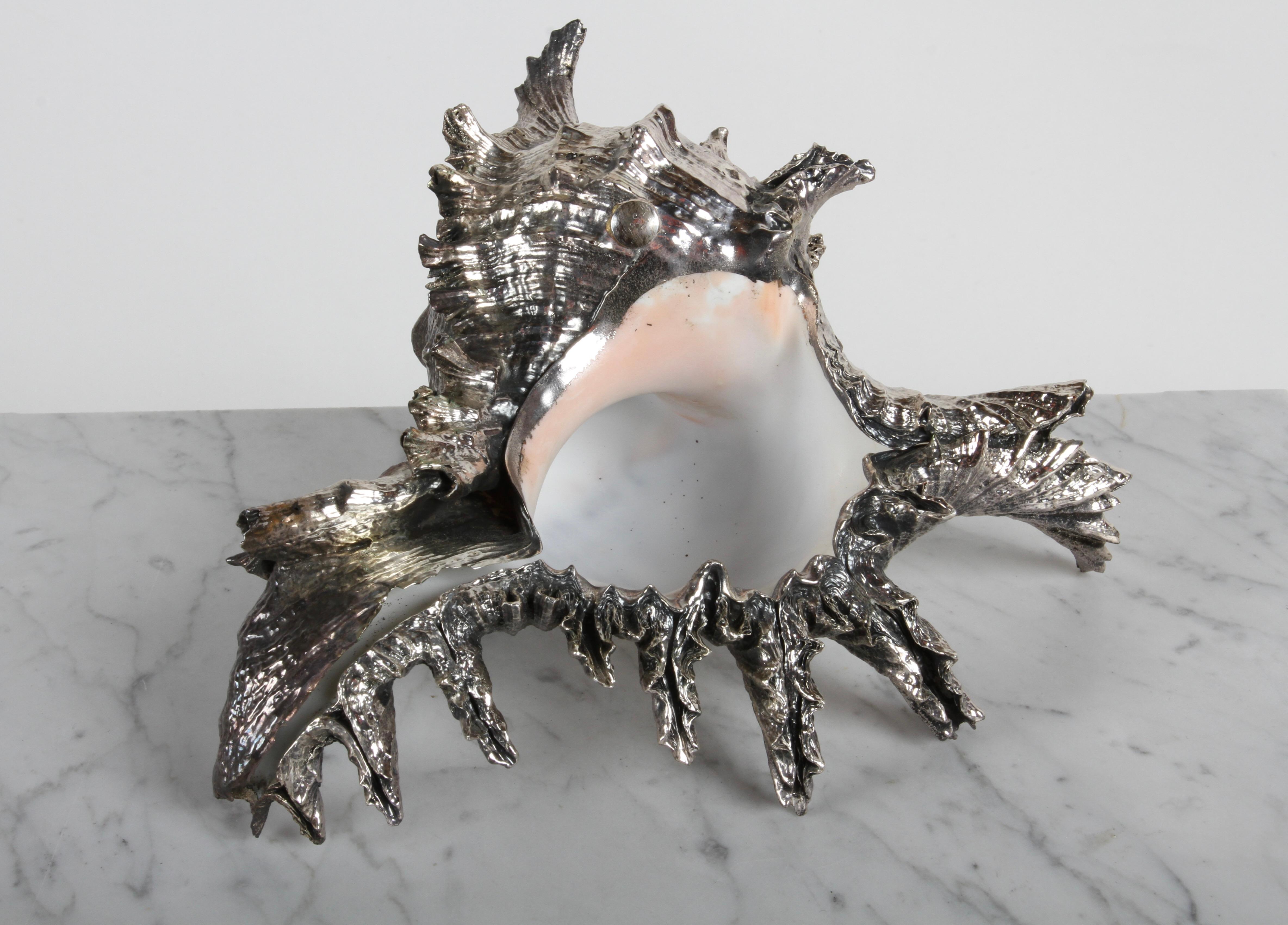 Scully and Scully New York - Sterling Clad Spiky Conch Shell - Natural ...