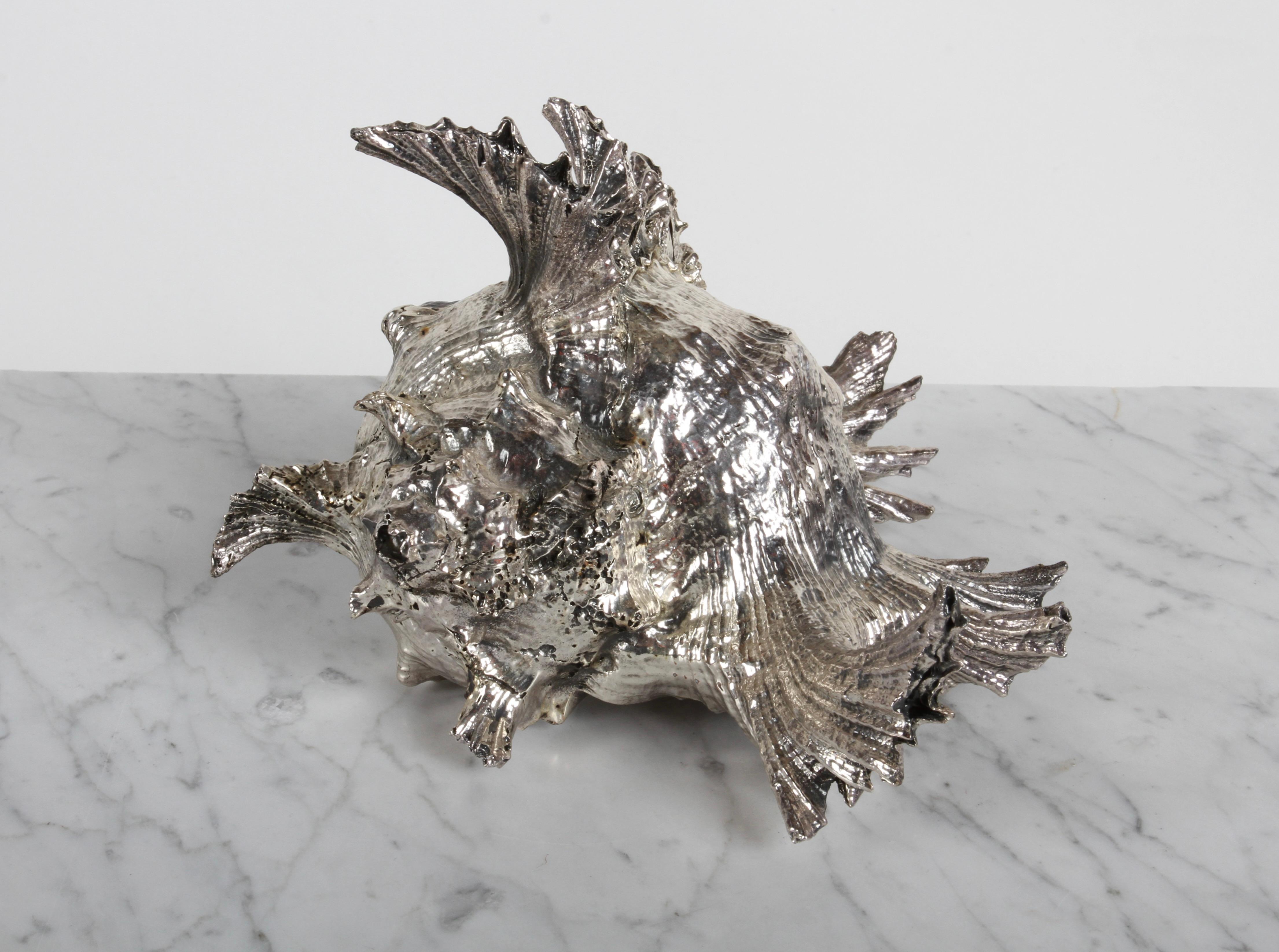 Scully and Scully New York - Sterling Clad Spiky Conch Shell - Natural ...