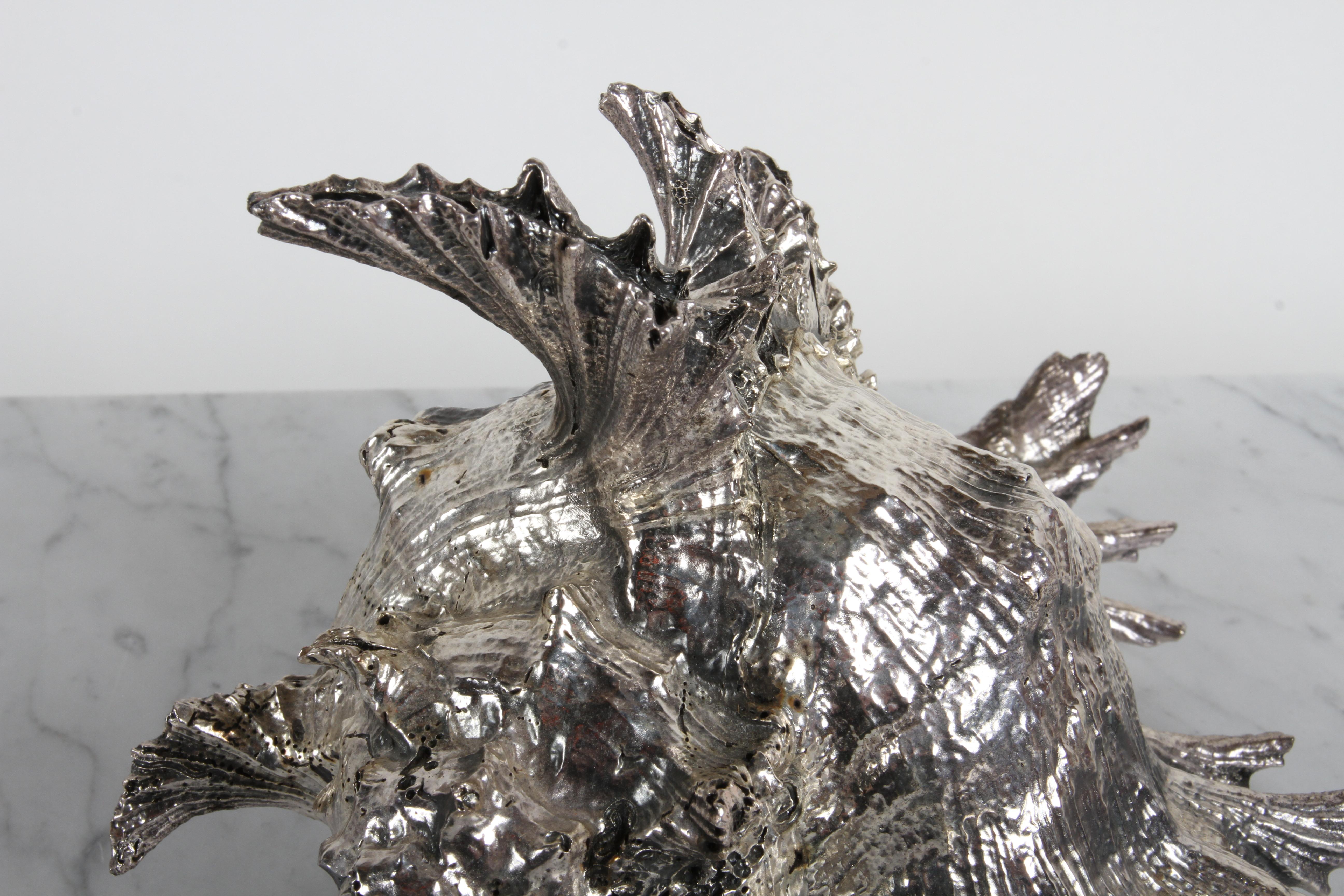 Scully and Scully New York - Sterling Clad Spiky Conch Shell - Natural ...