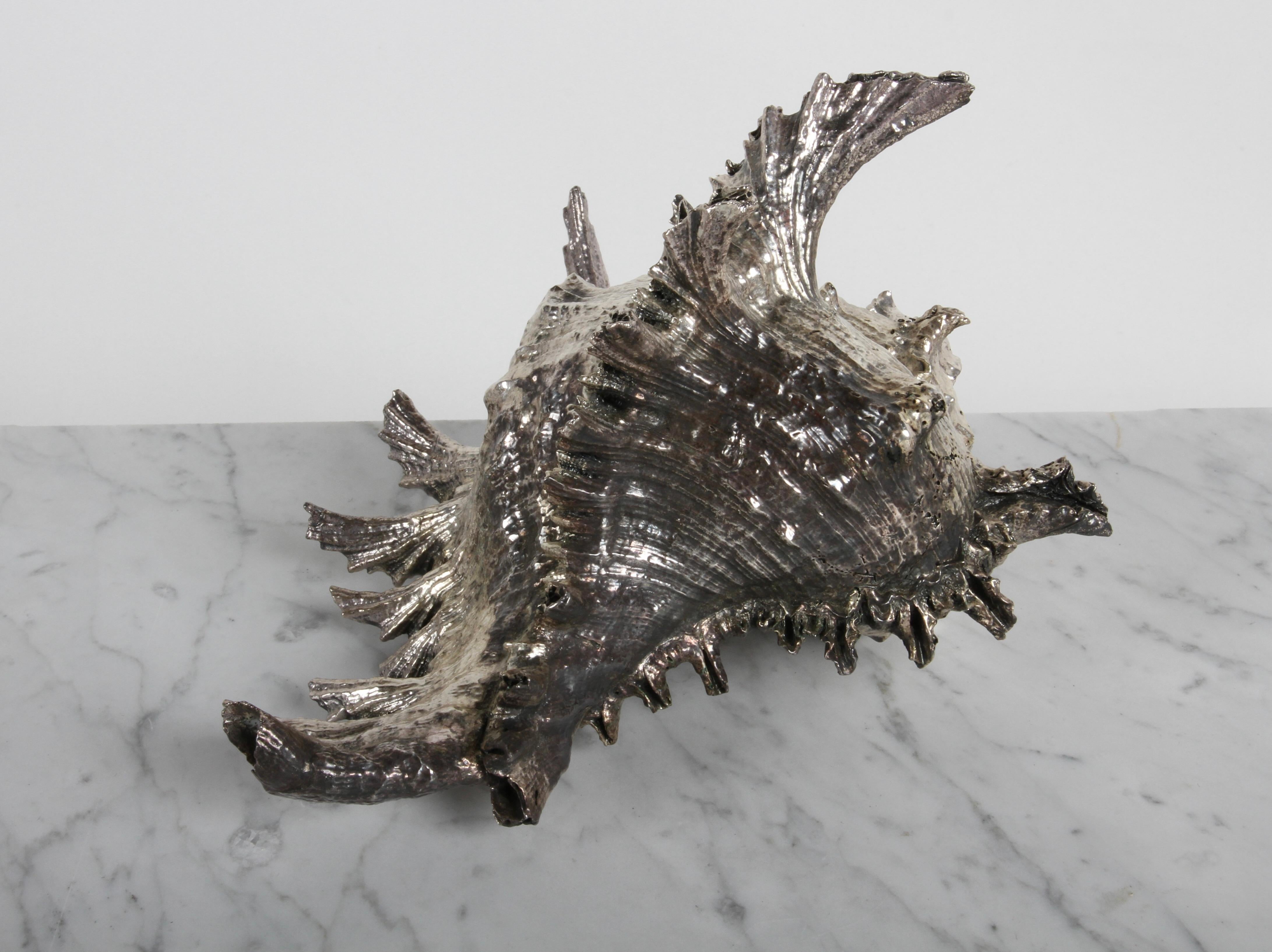 Scully and Scully New York - Sterling Clad Spiky Conch Shell - Natural ...