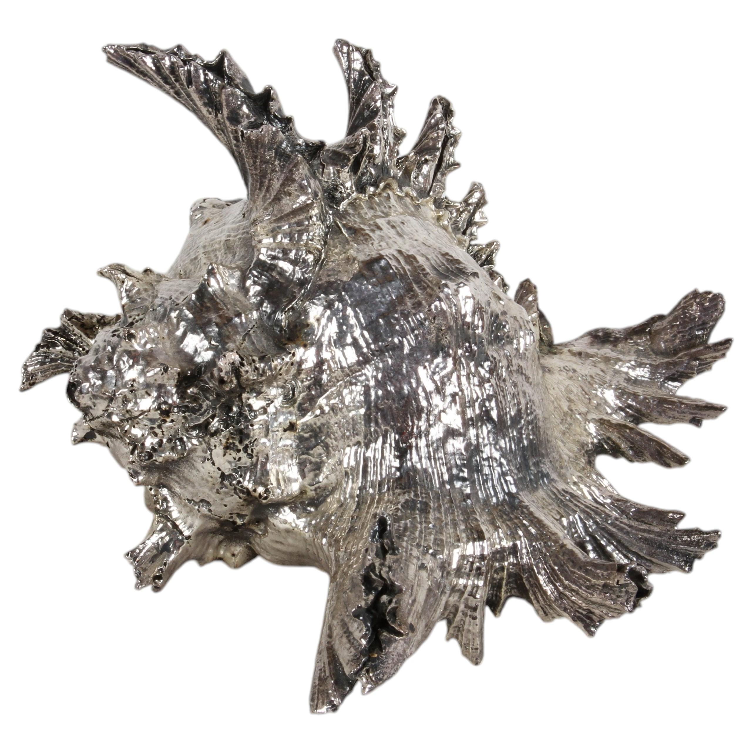 Scully & Scully New York - Sterling Clad Spiky Conch Shell - Natural Sculpture