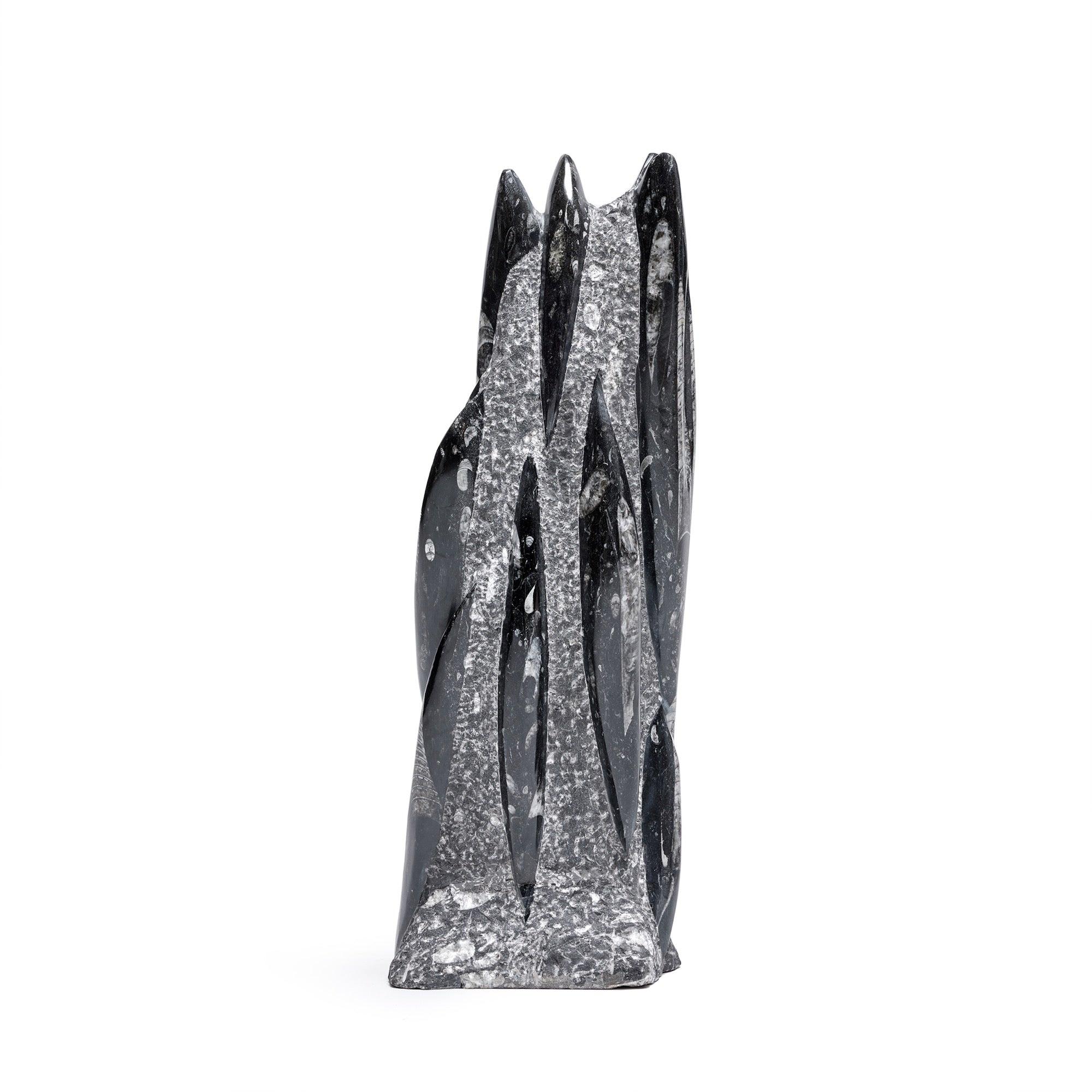 Fossile sculpté en marbre
