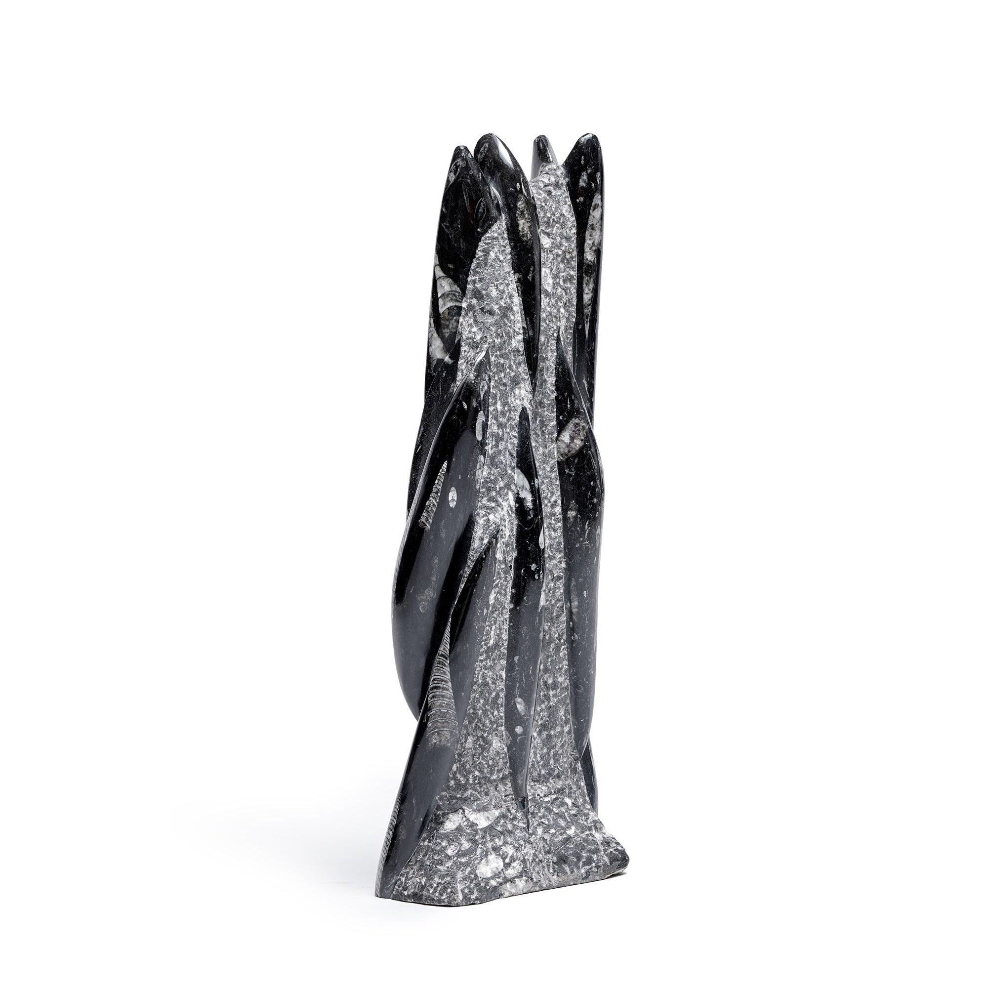 Fossile sculpté Excellent état - En vente à Sagaponack, NY