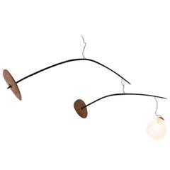 Glass Chandeliers and Pendants