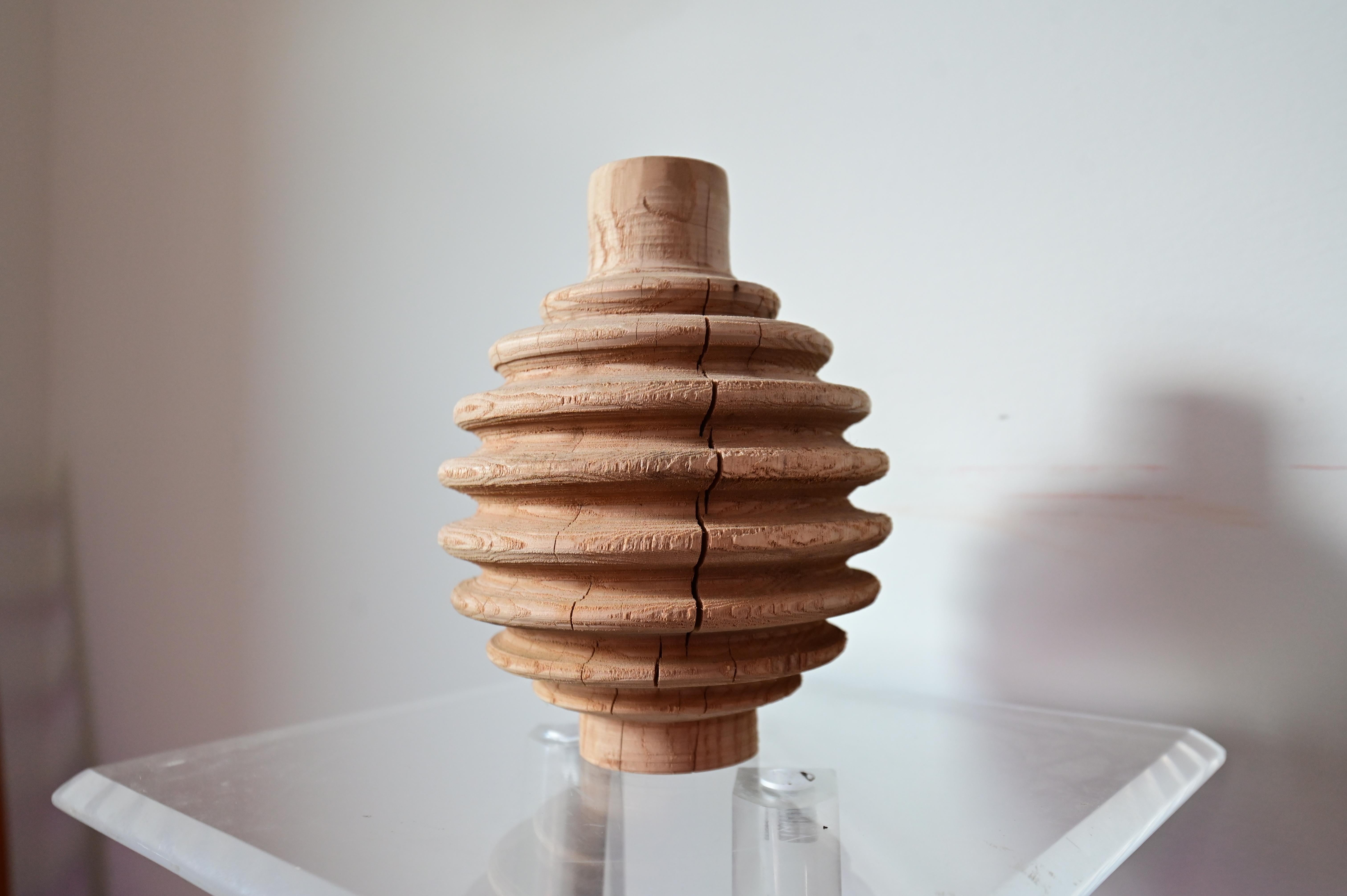Sculpted Original Honey Dipper Vase from Sassafras Wood For Sale 2