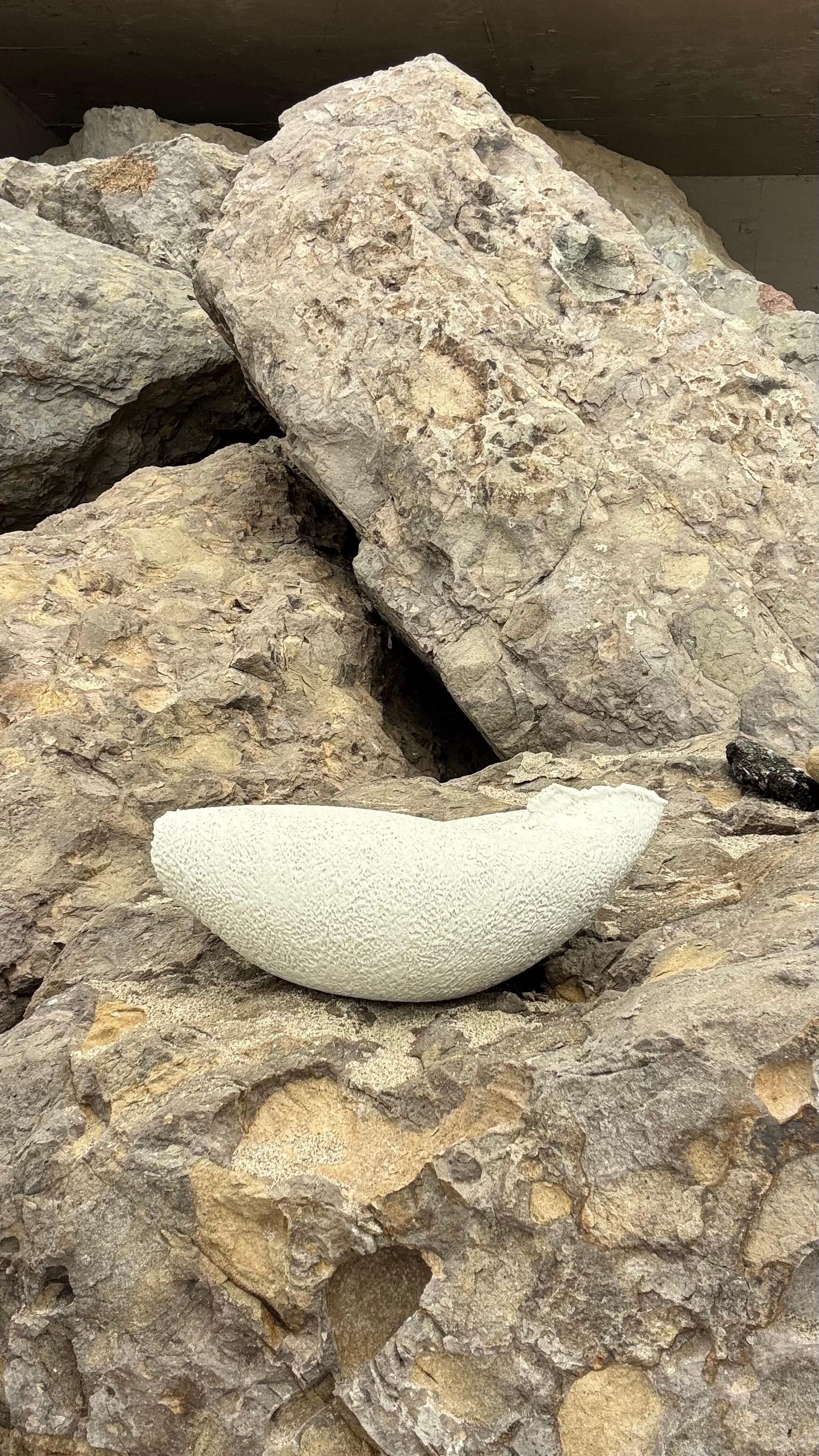 XXIe siècle et contemporain Porcelaine sculptée Vase ouvert. 