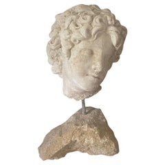  Sculpted Roman Bust of Young Boy with Curly Hair 