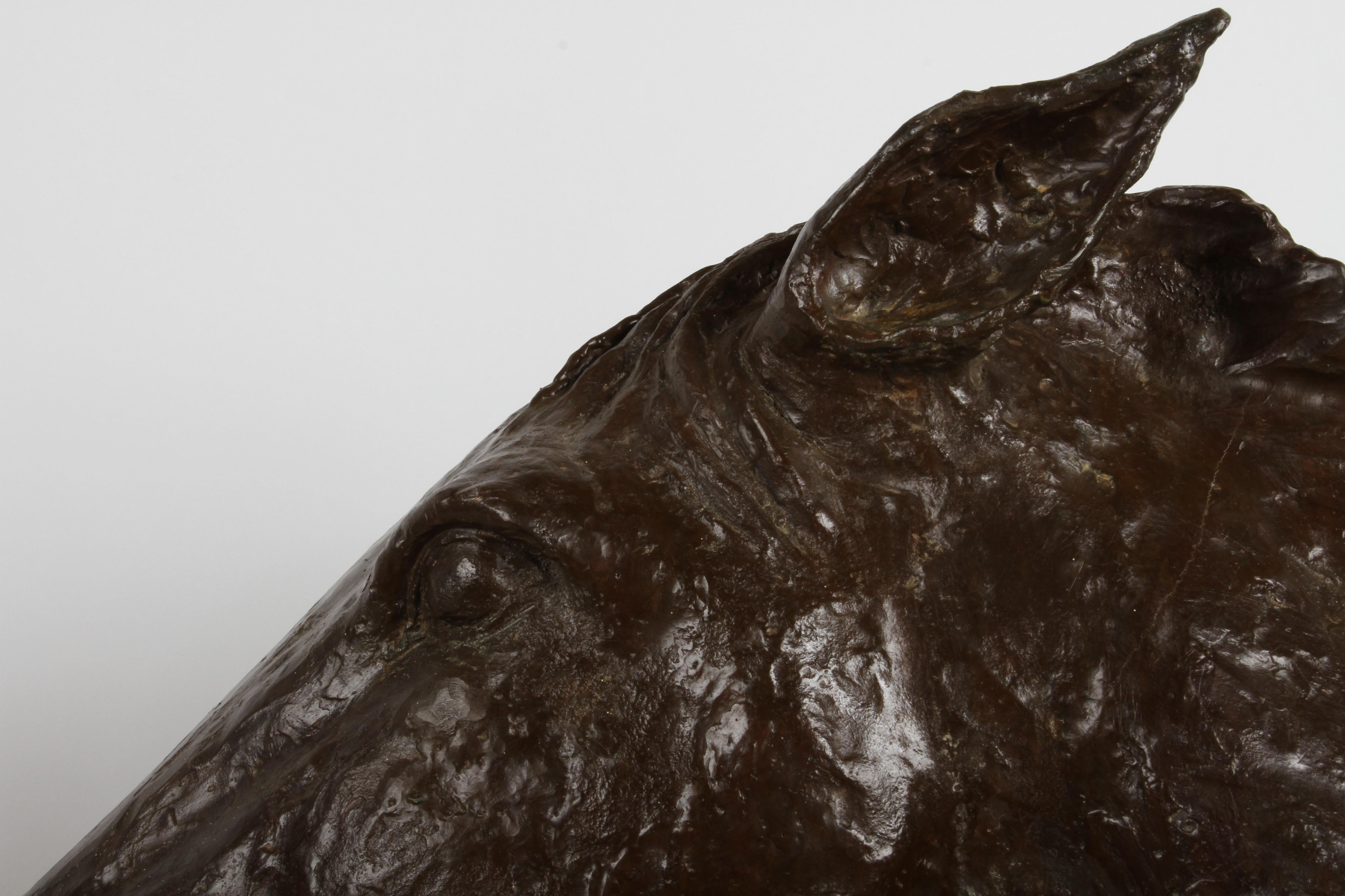 North American Sculptor & Artist Tom Bill - Unique Life Size Lost Wax Bronze Horse Head Bust For Sale