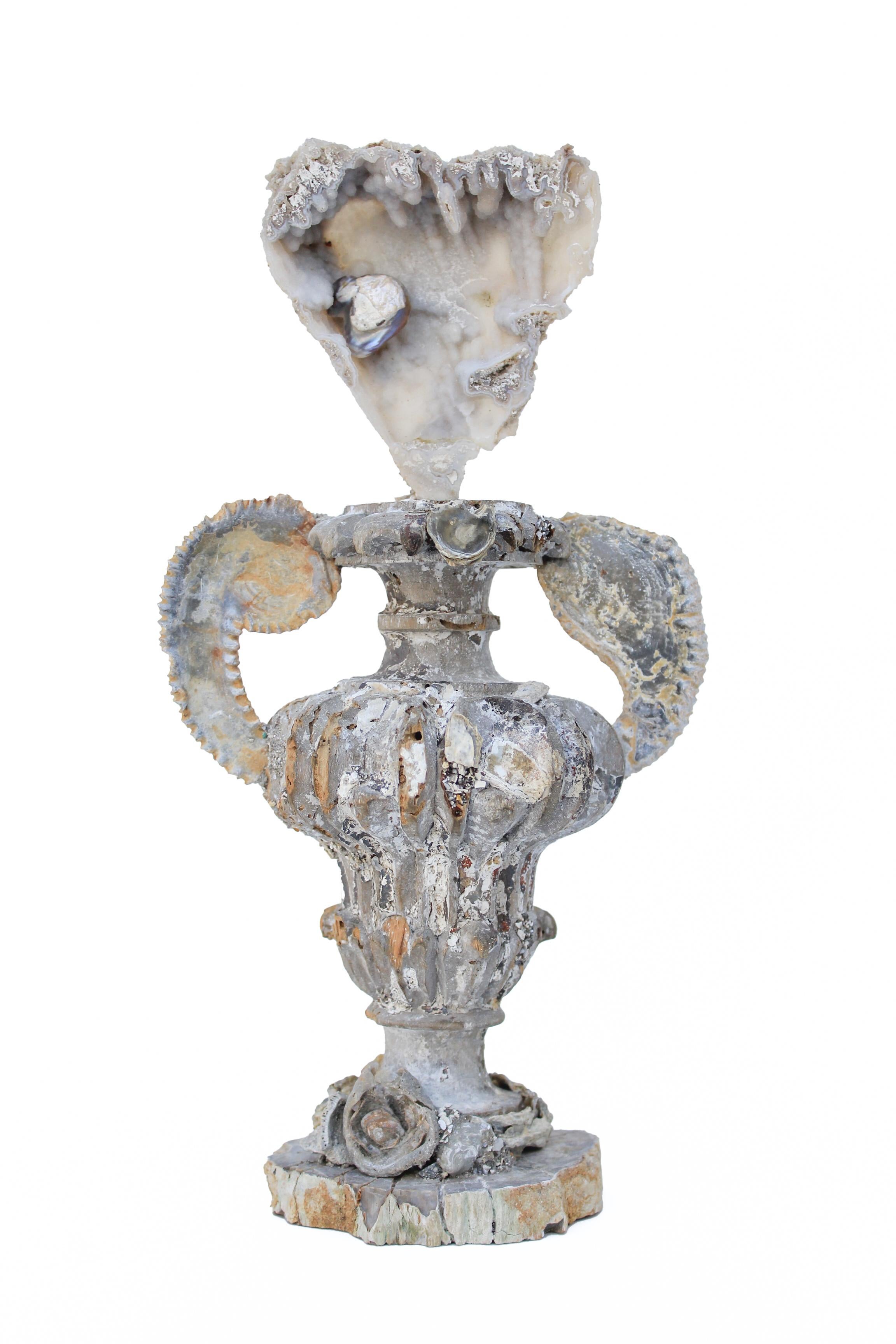 italienische Fragmentvase aus dem 17. oder 18. Jahrhundert mit Achatkoralle, zickzackförmigen fossilen Austernarmen, fossilen Muscheln und einer Barockperle auf einem Sockel aus poliertem versteinertem Holz.

Dieses Fragment stammt aus einer