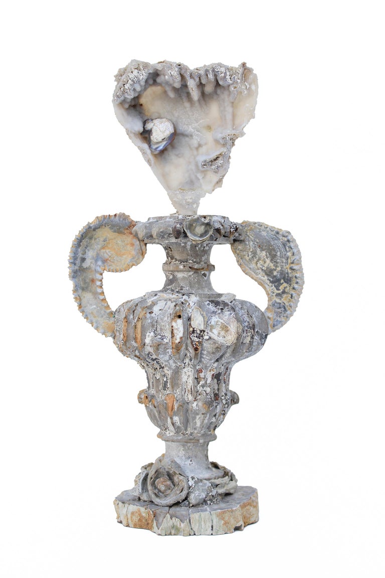 17th or 18th century Italian fragment vase with agate coral, zig zag oyster fossil arms, fossil shells, and a baroque pearl on a polished petrified wood base.

This fragment is from a church in Florence. It was found and saved from the historic