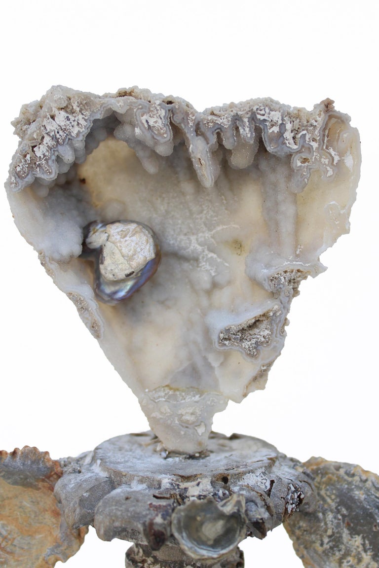 Rococo 18th Century 'Florence Fragment' Vase with Agate Coral and Fossil Oyster Shells For Sale