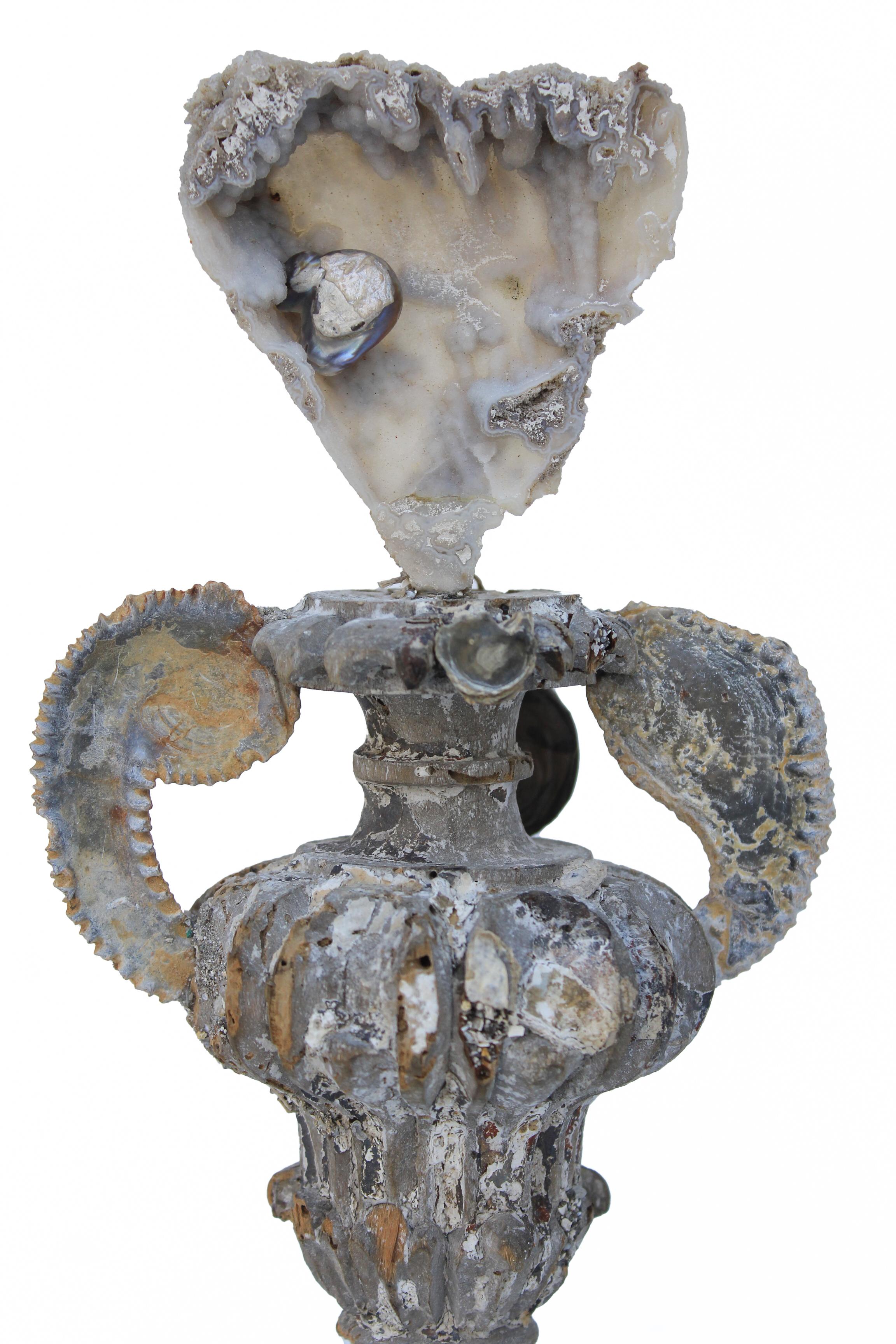 Italian 18th Century 'Florence Fragment' Vase with Agate Coral and Fossil Oyster Shells For Sale