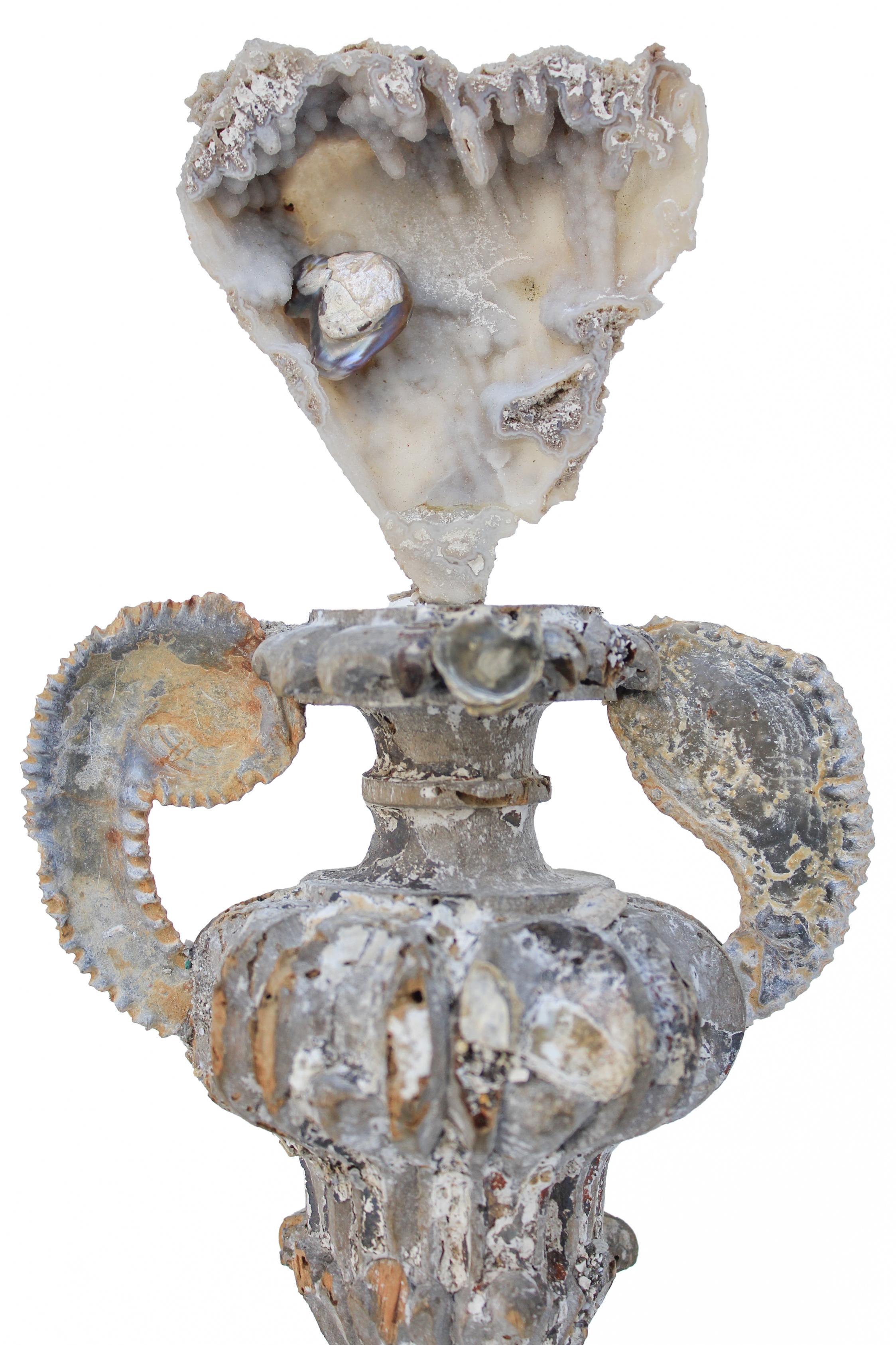Vase „Florence Fragment“ aus dem 18. Jahrhundert mit Achatkoralle und Austernschalen aus Fossilien (18. Jahrhundert und früher) im Angebot