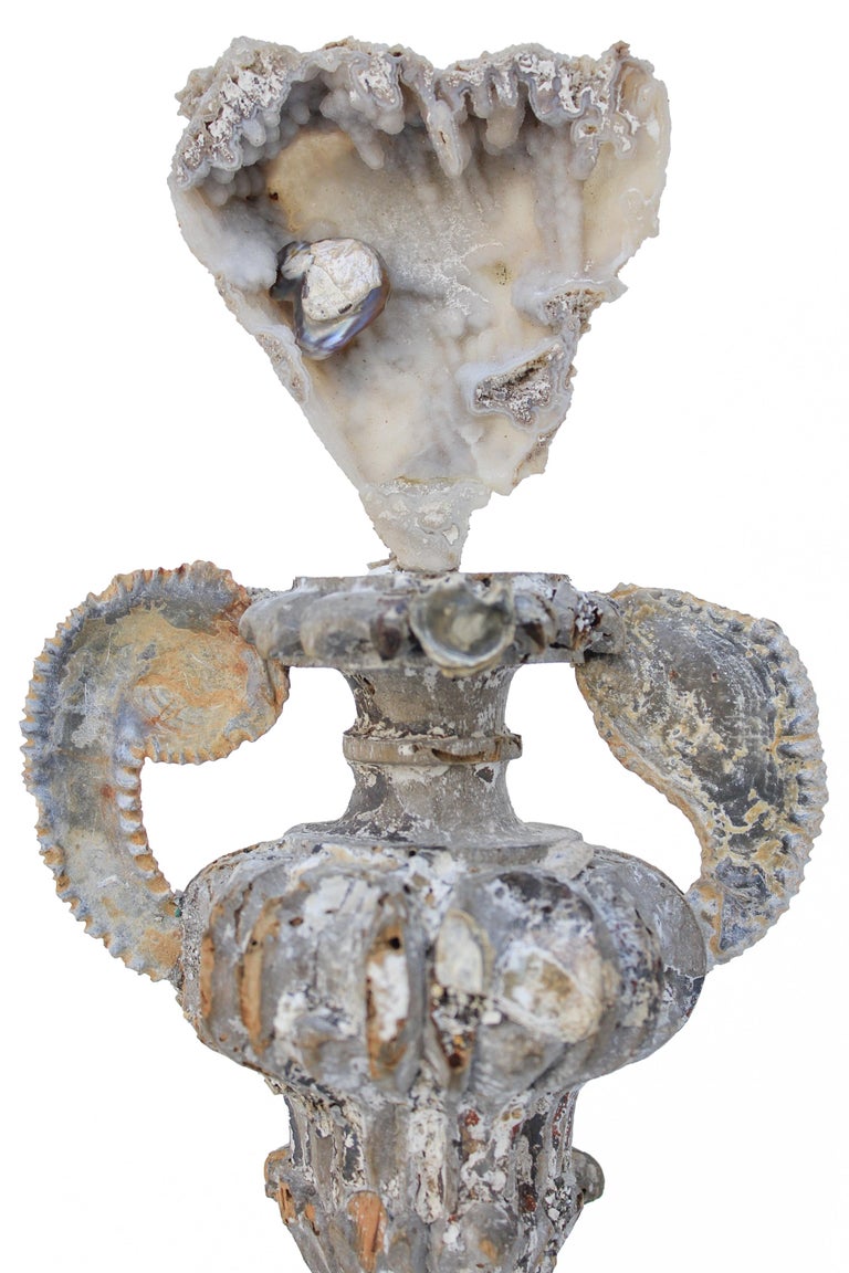 18th Century and Earlier 18th Century 'Florence Fragment' Vase with Agate Coral and Fossil Oyster Shells For Sale