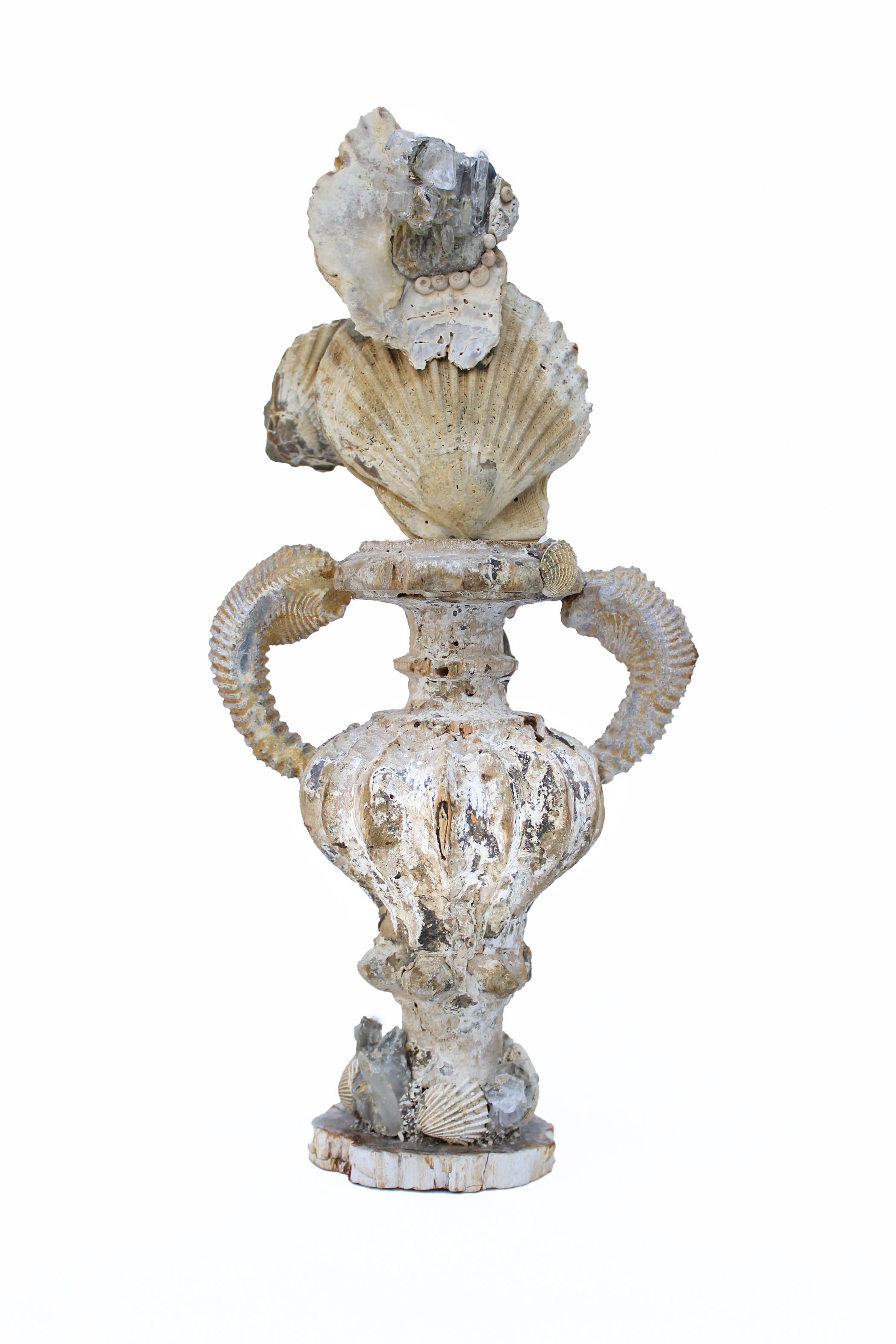 17th or 18th century Italian fragment vase with chesapecten shells, zig zag oyster fossil arms, fossil shells, and a faden crystals on a polished petrified wood base.

This fragment is from a church in Florence. It was found and saved from the