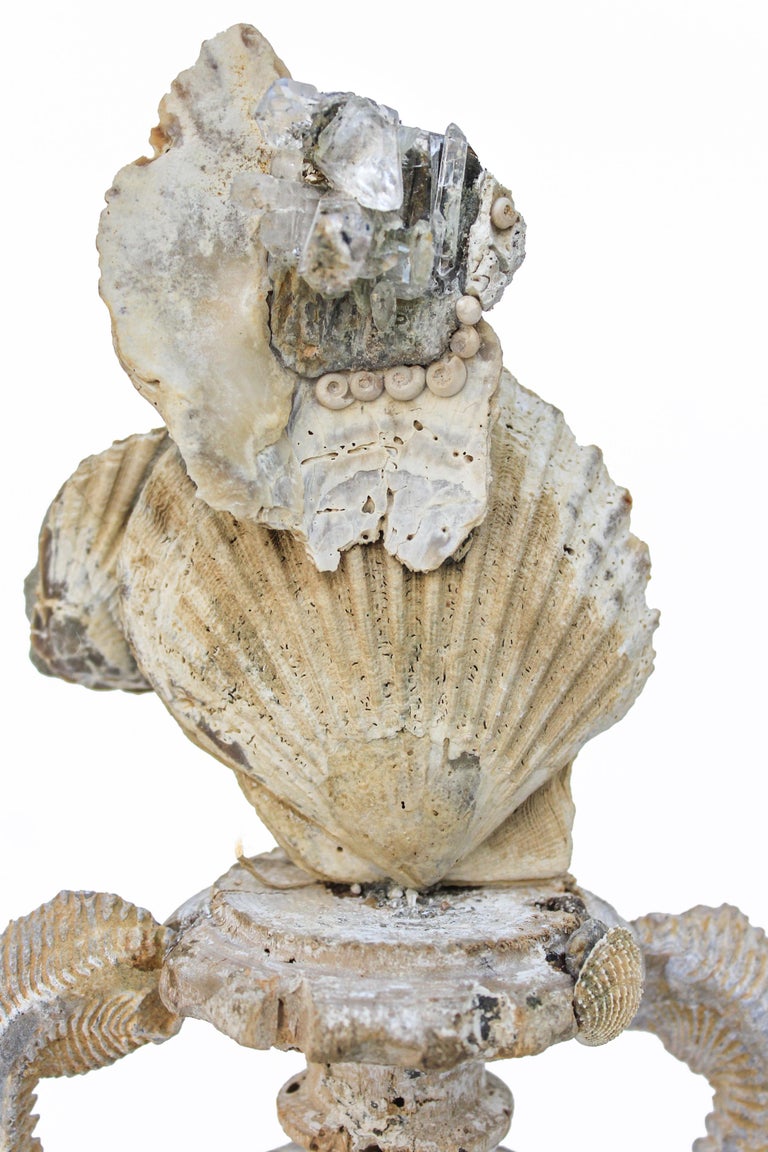 Italian 18th Century 'Florence Fragment' Vase with Chesapecten Shells & Faden Crystals For Sale