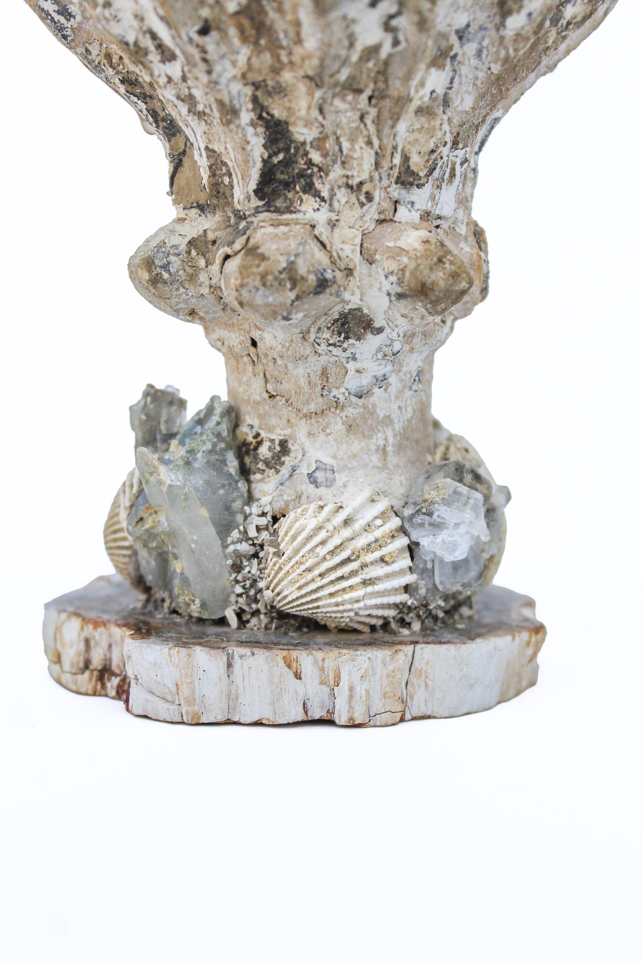 Hand-Carved 18th Century 'Florence Fragment' Vase with Chesapecten Shells & Faden Crystals