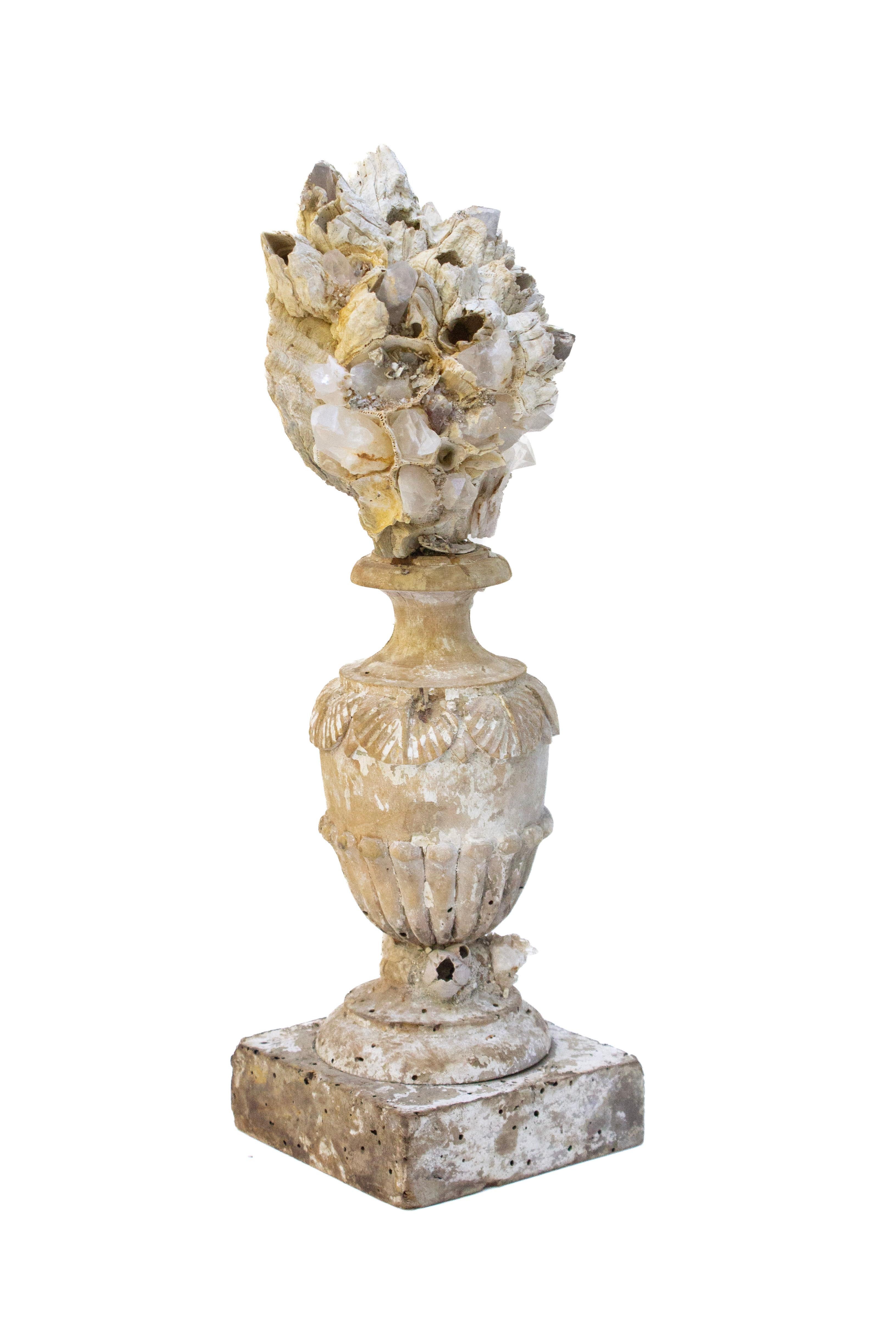 Skulpturales, handgeschnitztes Florentiner Fragment aus dem 17. Jahrhundert, montiert mit einer fossilen Muschel mit Seepocken und verziert mit Kristallen.

Dieses Fragment stammt aus einer Kirche in Florenz. Es wurde gefunden und vor dem