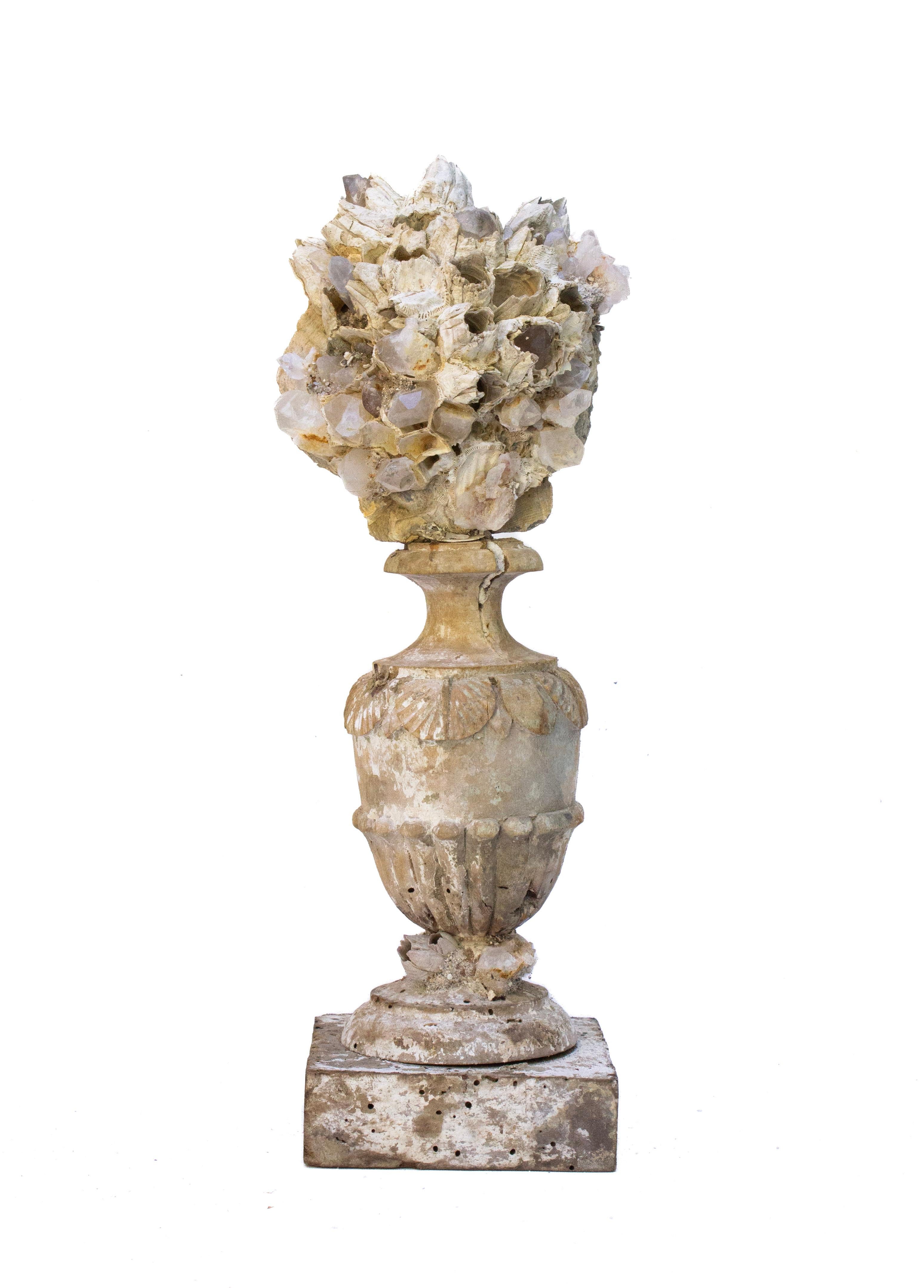 Frammento scultoreo di Firenze del XVII secolo intagliato a mano, montato con una conchiglia fossile con cirripedi e ornato di cristalli.

Questo frammento proviene da una chiesa di Firenze. È stata trovata e salvata dalla storica inondazione