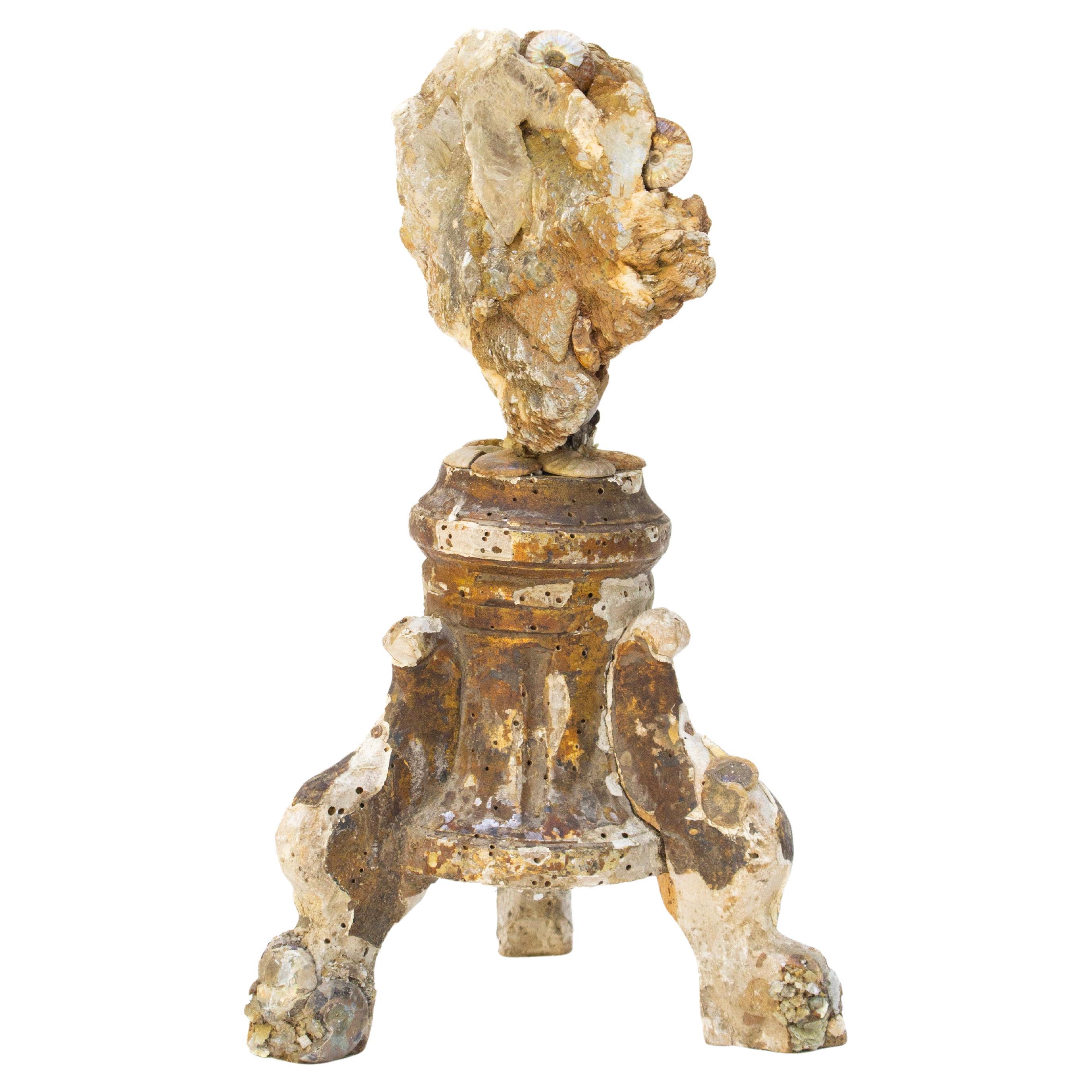 17th Century Italian Fragment Base with Mica and Fossil Ammonites