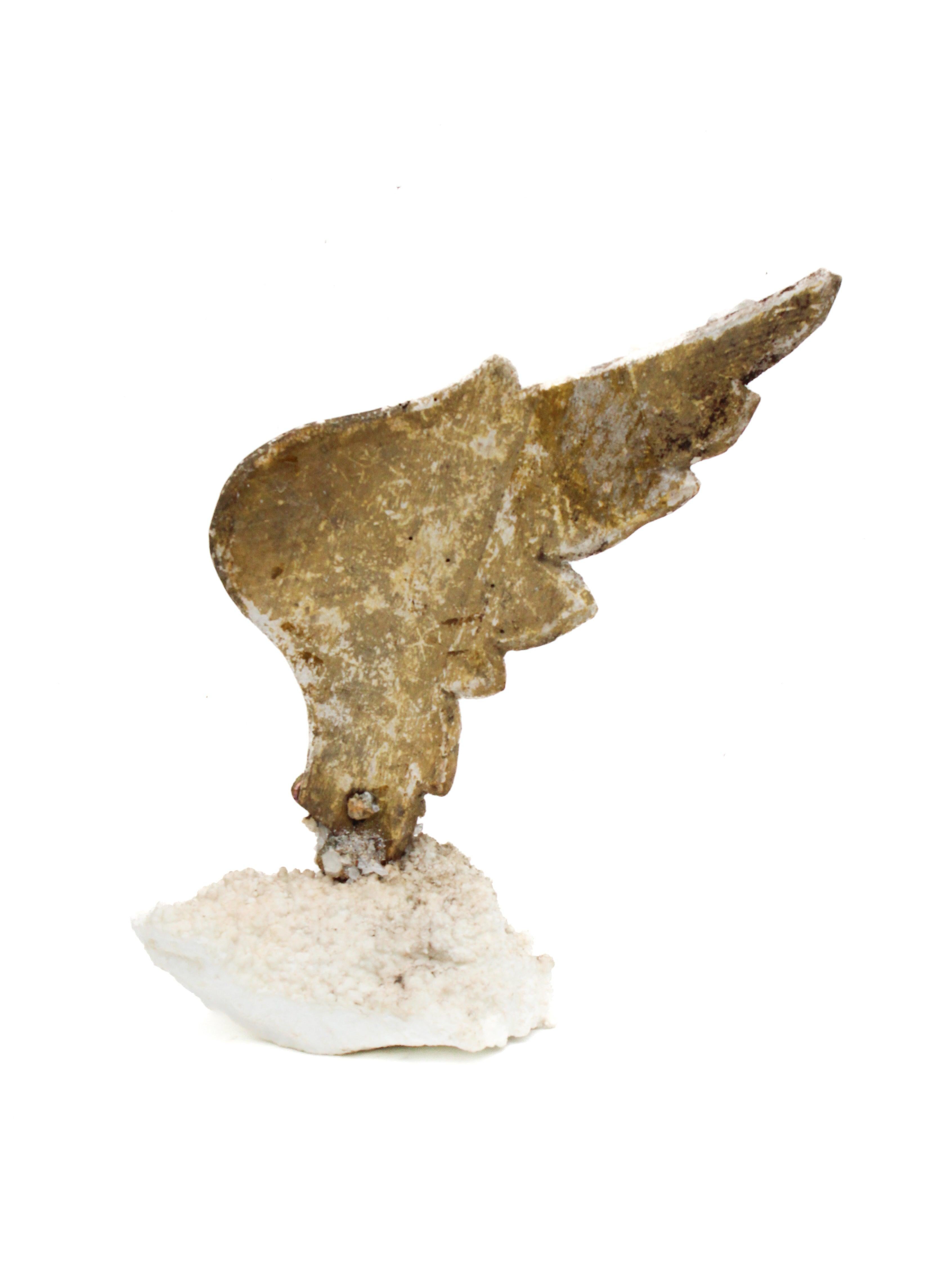 Sculptural 18th Century Italian Angel Wing with Aragonite and Faden Crystals For Sale 1