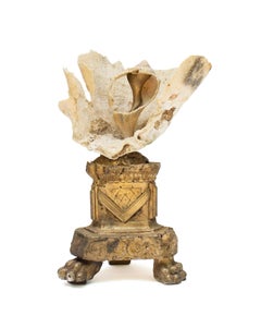 Sculptural 18th Century Italian Gilded Fragment with Coral and Gilded Shells