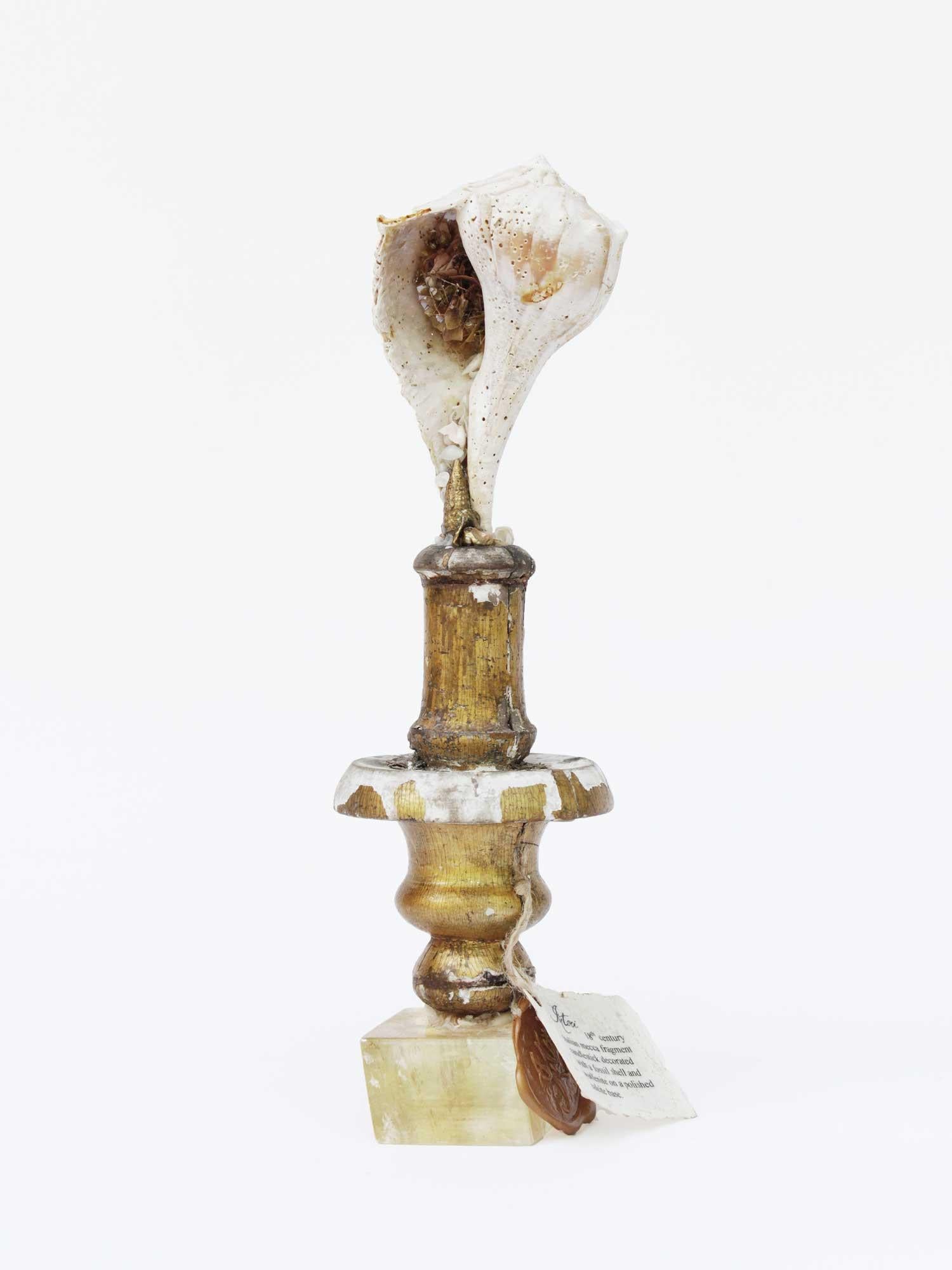 Sculptural 18th century Italian mecca fragment candlestick with a fossil shell and wulfenite on a polished calcite base.

The fragment was originally part of an 18th century Italian candlestick from a historic church. It is mounted with a fossil