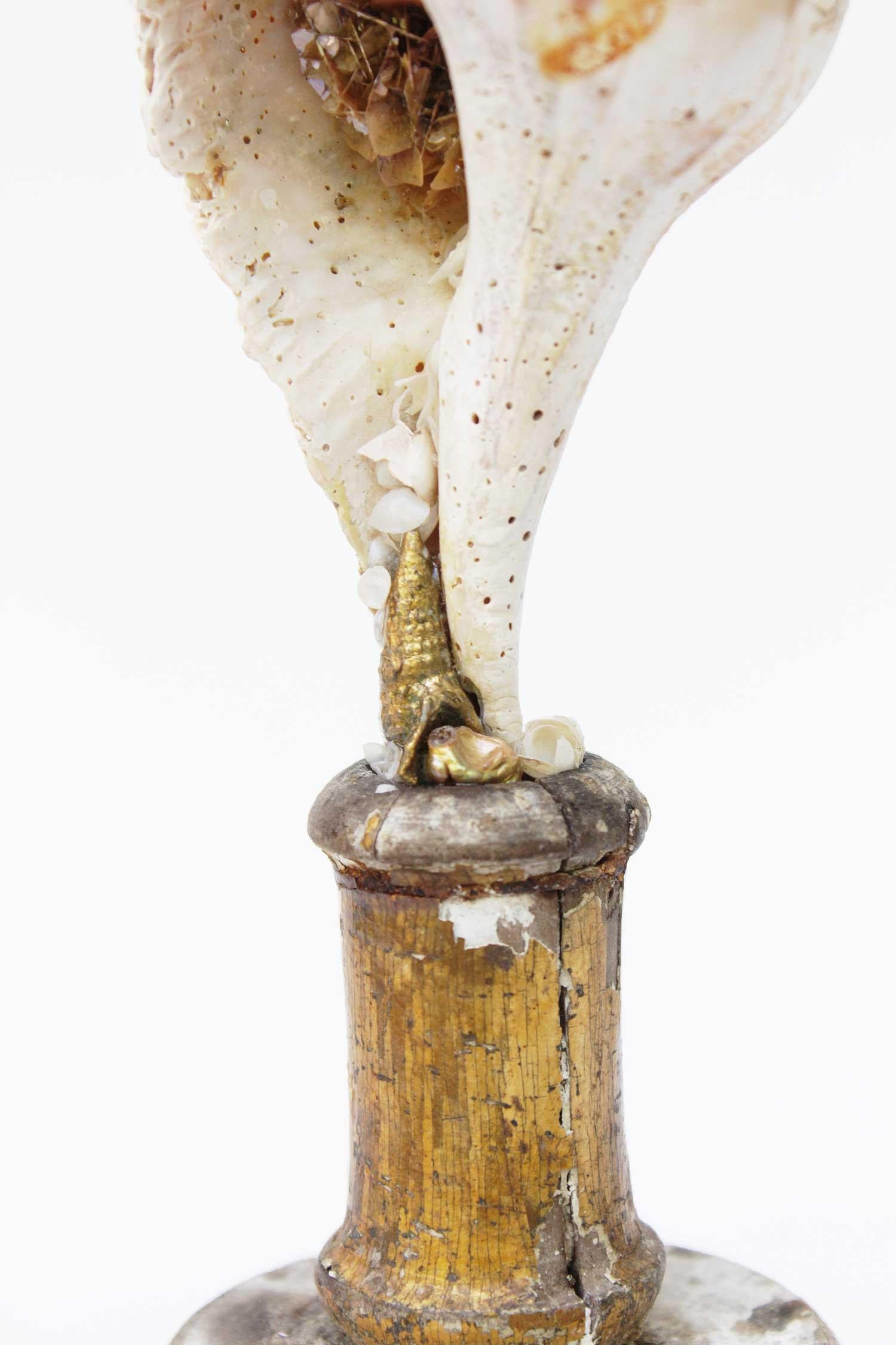 Sculpté à la main Fragment sculptural de Mecca italien du 18ème siècle avec une coquille de fossile sur calcite en vente