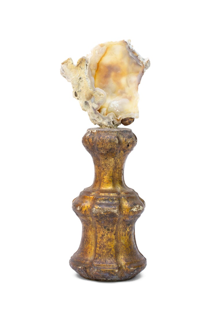 Sculptural 18th century Italian mecca miniature fragment with fossil agate coral.

The fragment was originally part of an 18th century Italian candlestick from a historic church. It is mounted with the fossil agate coral. Fossil agate coral is