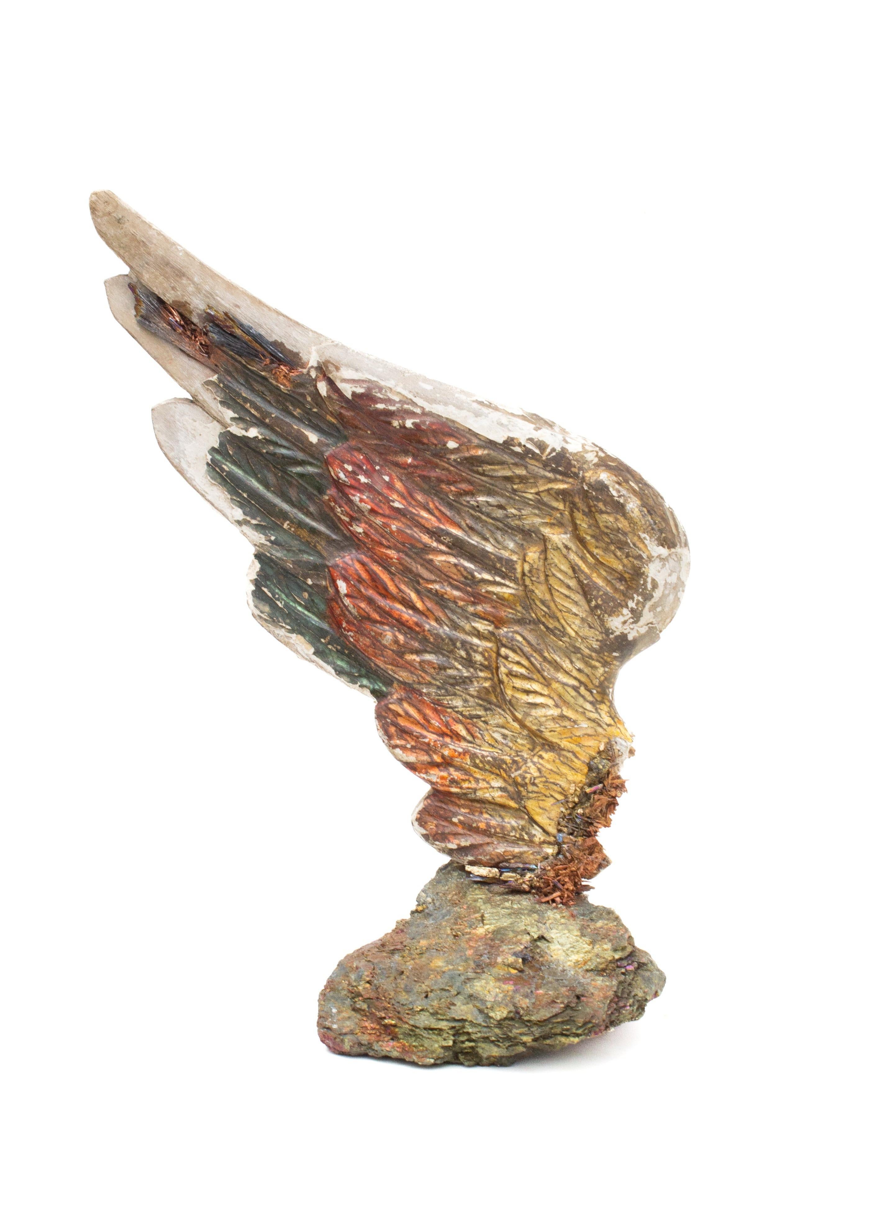 Rococo Sculptural 18th Century Multi-color Italian Angel Wing on Chalcopyrite & Kyanite For Sale