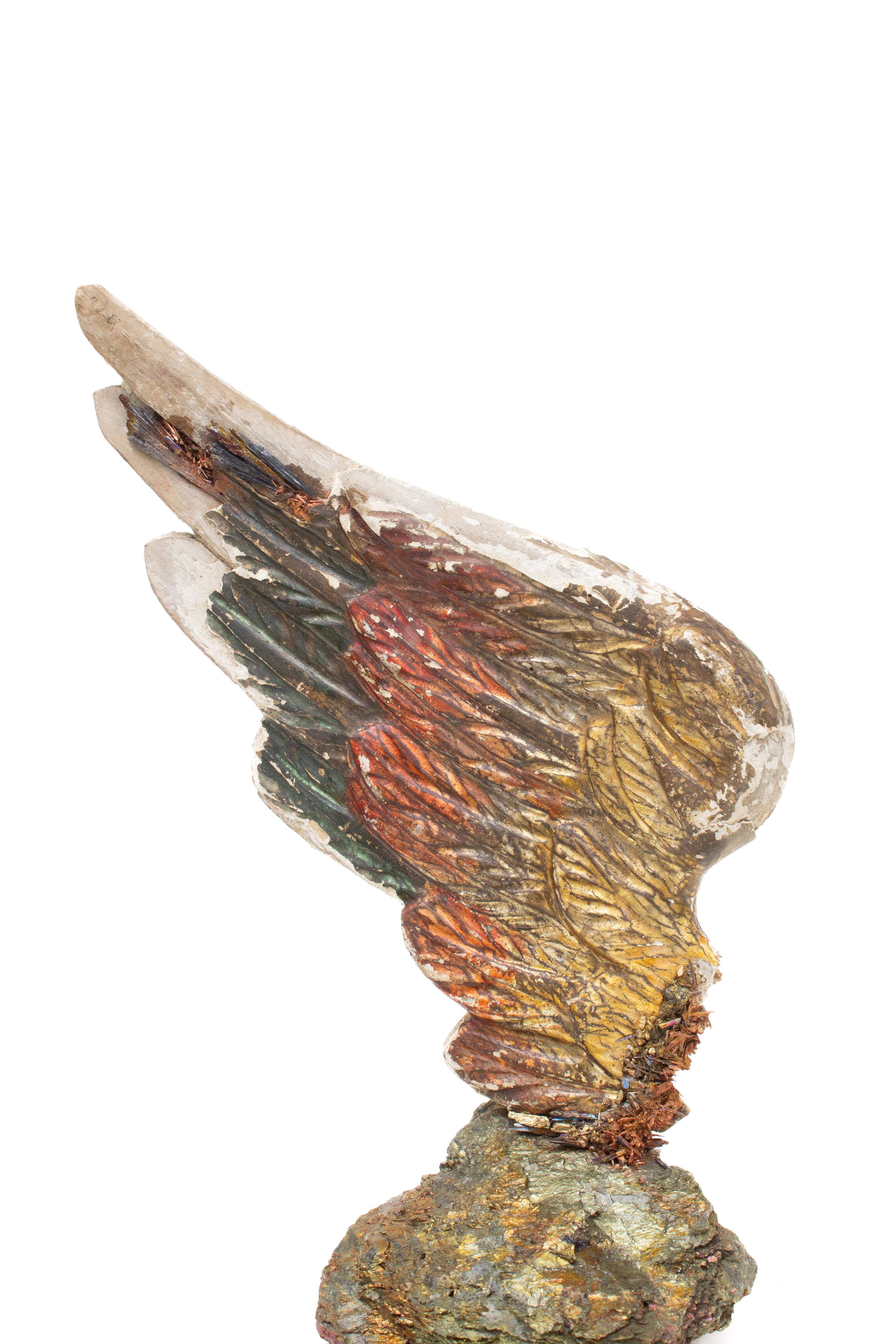 Hand-Carved Sculptural 18th Century Multi-color Italian Angel Wing on Chalcopyrite & Kyanite For Sale