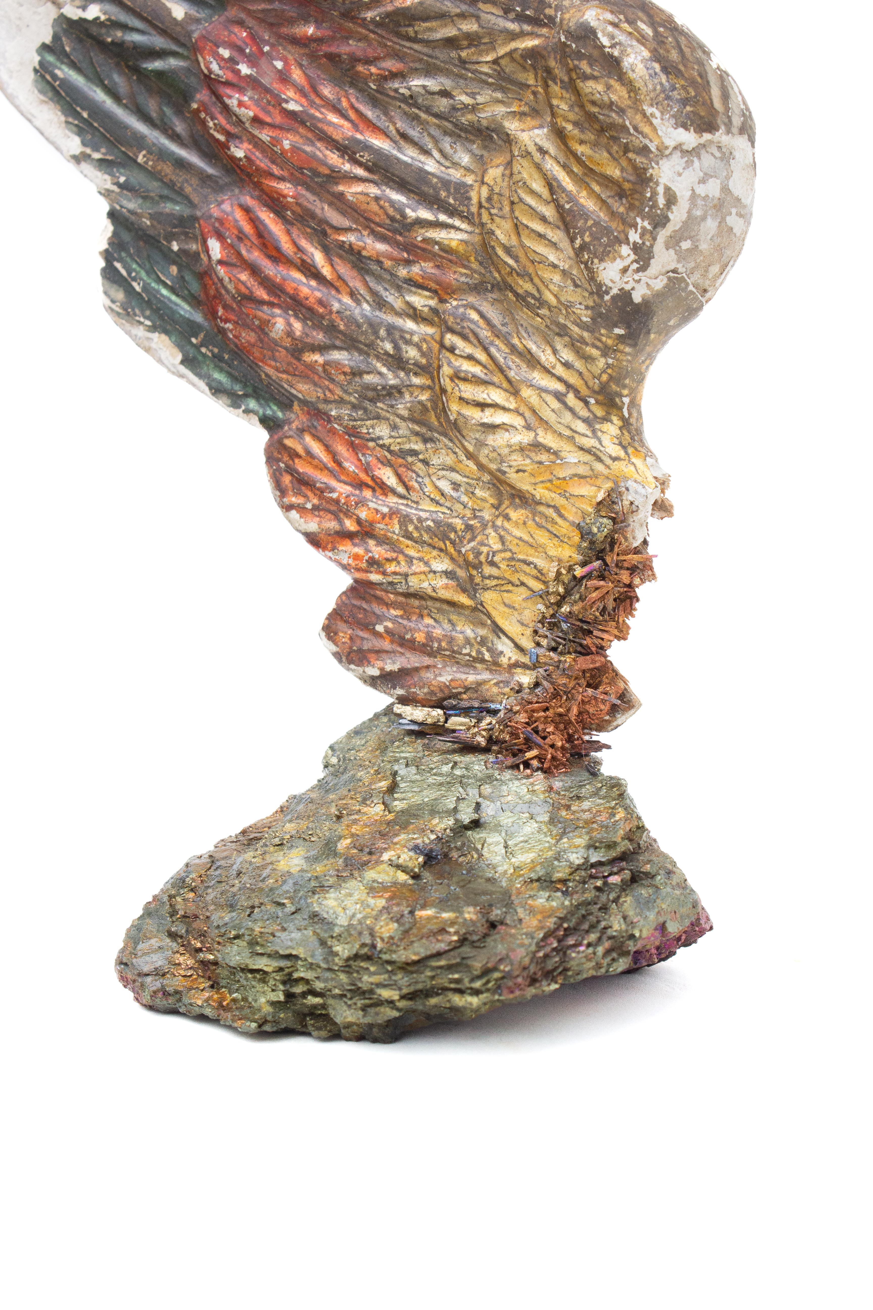 Sculptural 18th Century Multi-color Italian Angel Wing on Chalcopyrite & Kyanite For Sale 1
