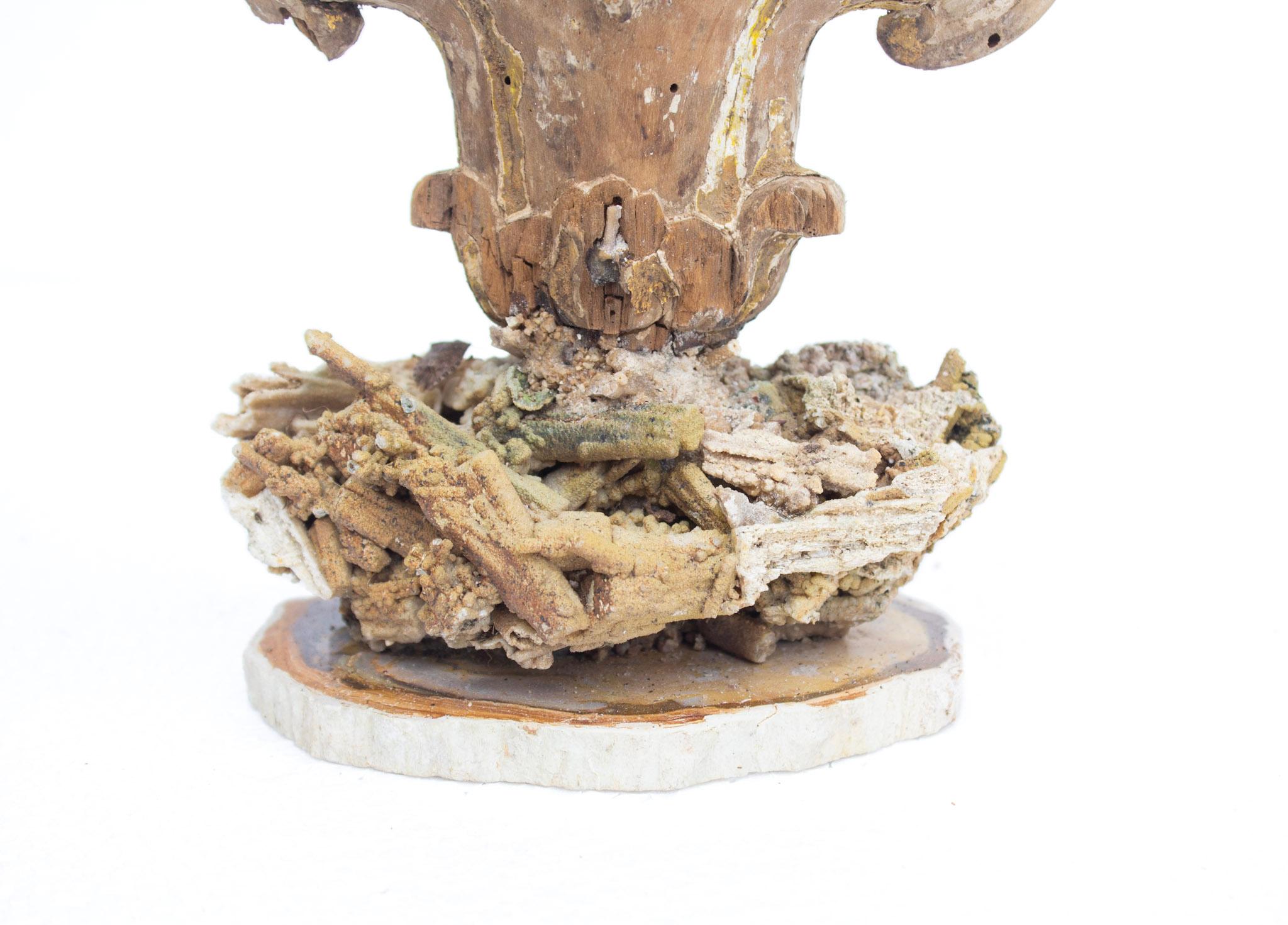 Sculpté à la main Sculpturale fragment de florence italienne rococo du 18ème siècle avec Stalagmite rare en vente