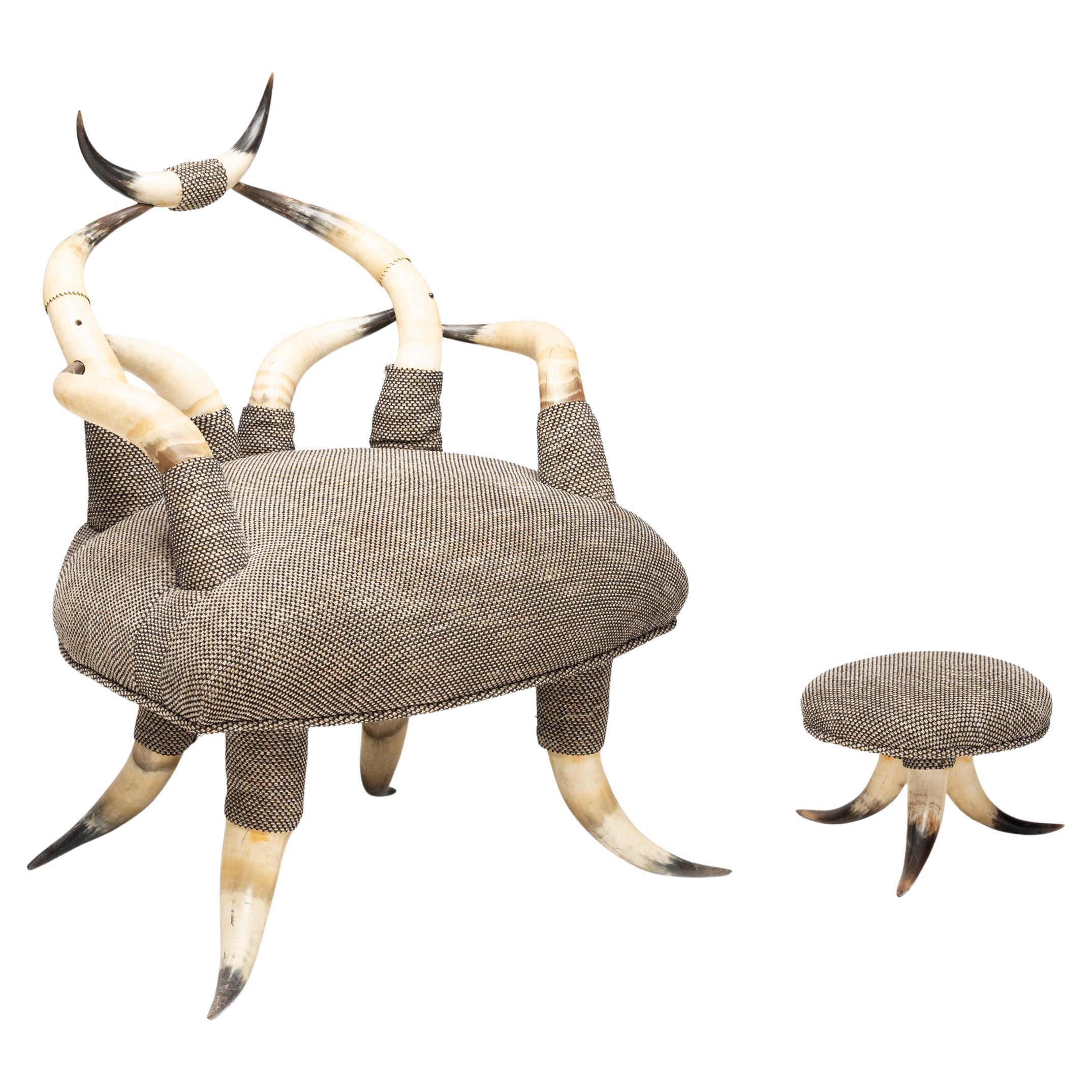 Sculptural 19th Century Horn Chair with Footstool