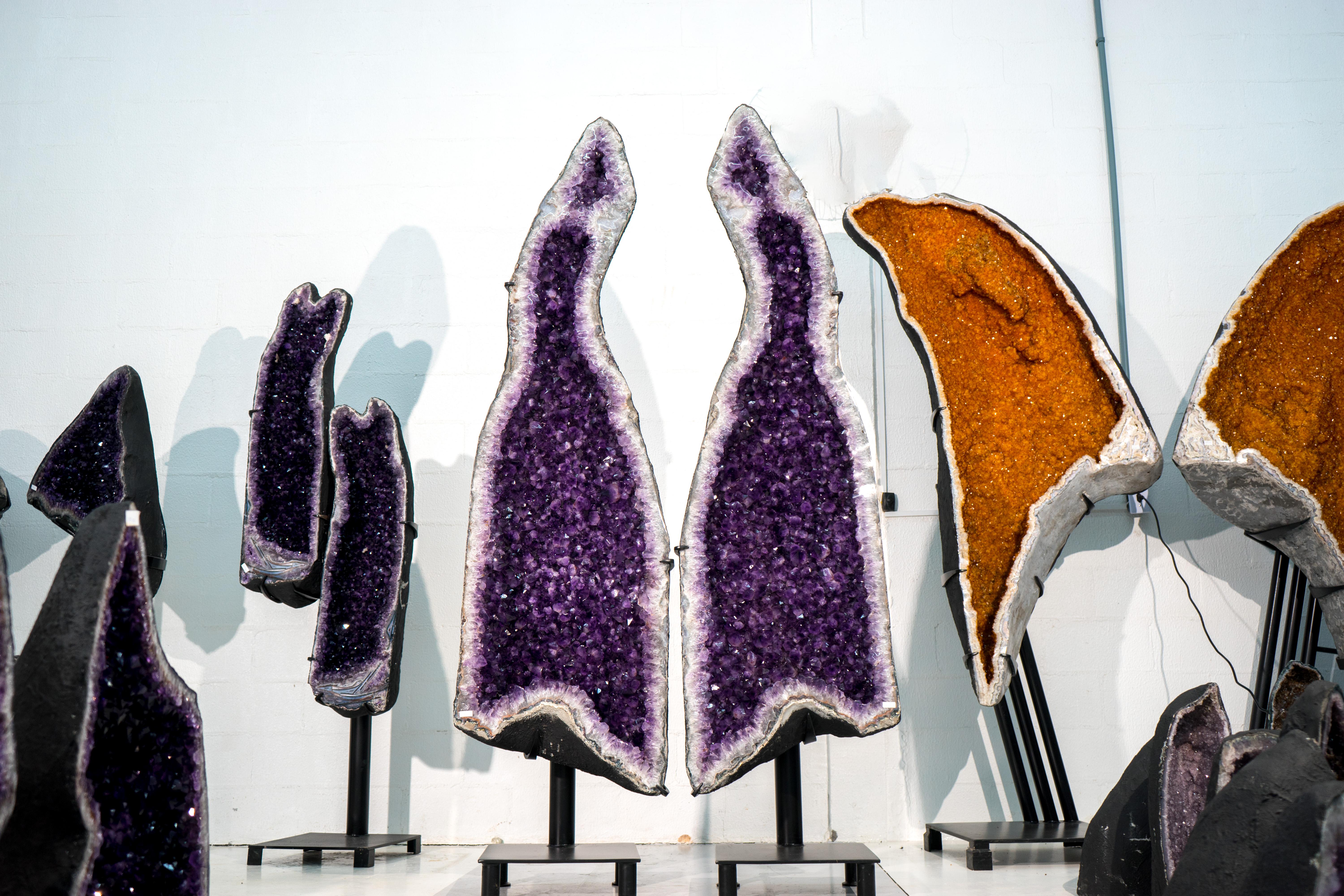 Brasiliano Geodi di ametista scultorei alti 9 piedi, Druzy di ametista viola scuro Nature X-Large in vendita