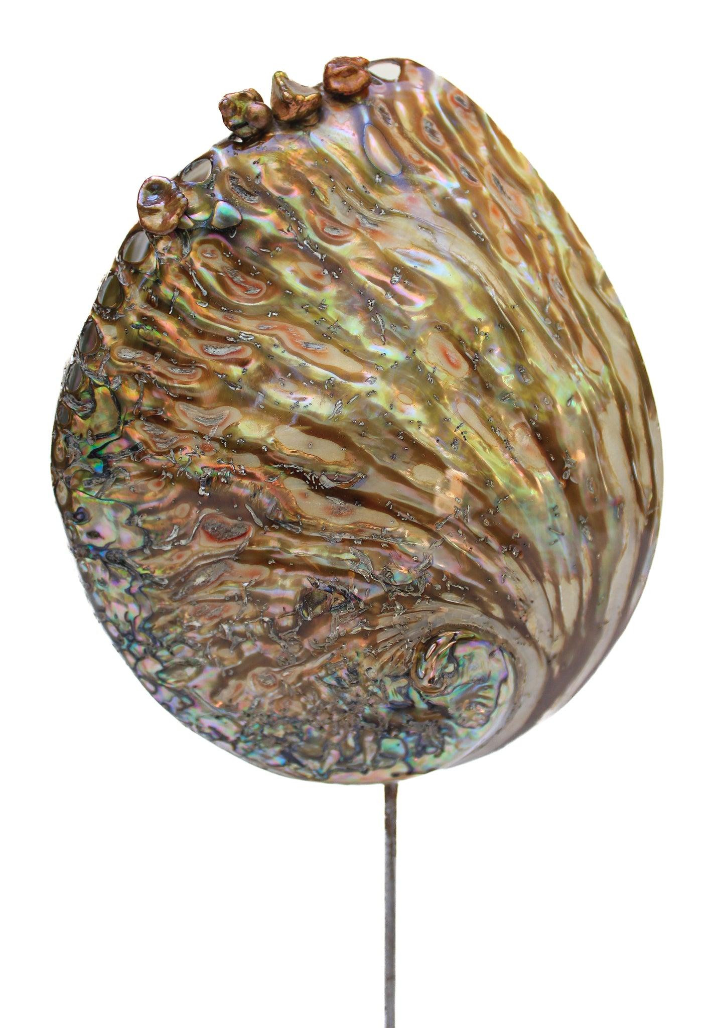 Modern Sculptural Abalone Shell with Baroque Pearls on a Polished Agate Base For Sale