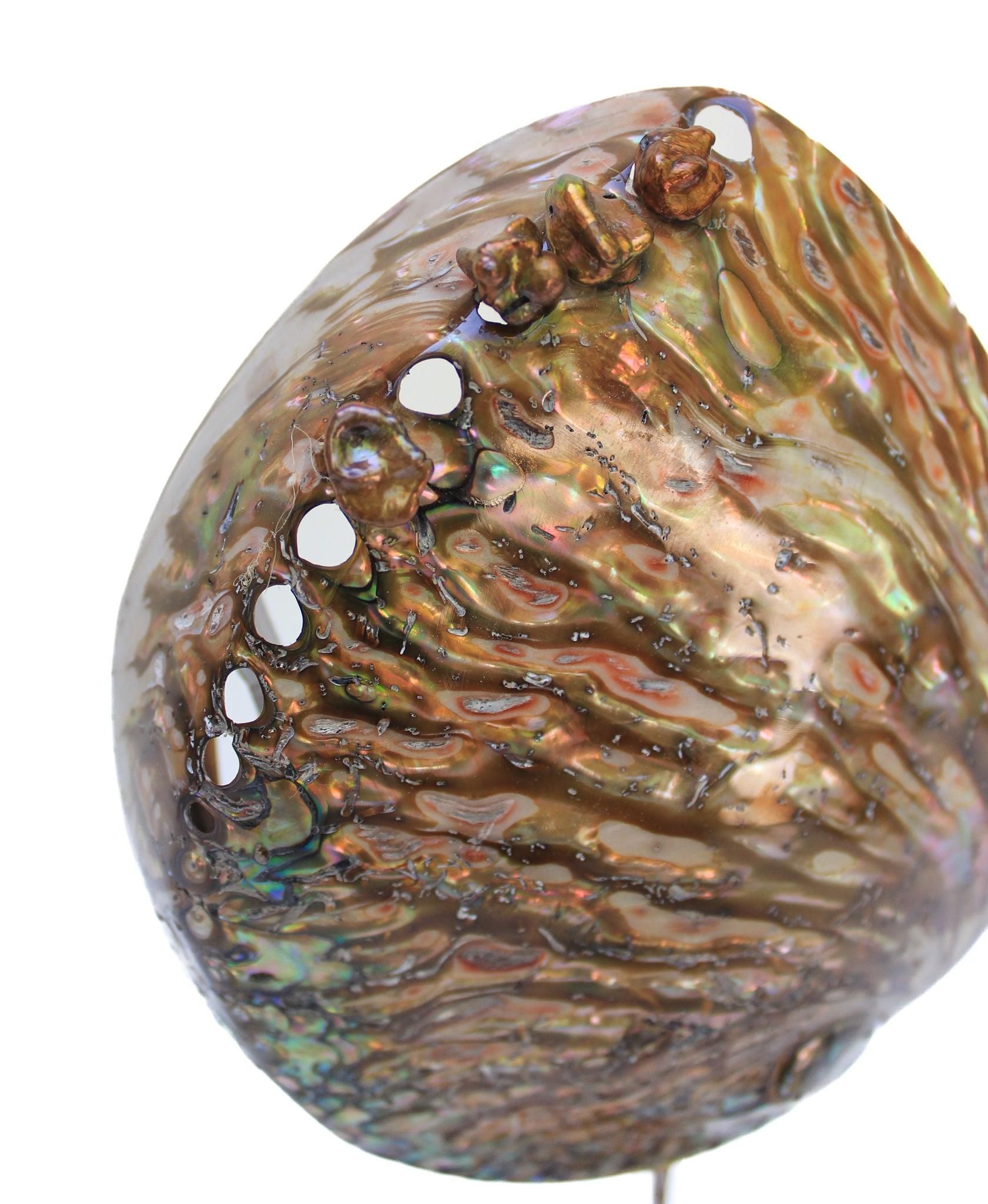 Sculptural Abalone Shell with Baroque Pearls on a Polished Agate Base In Excellent Condition For Sale In Dublin, Dalkey