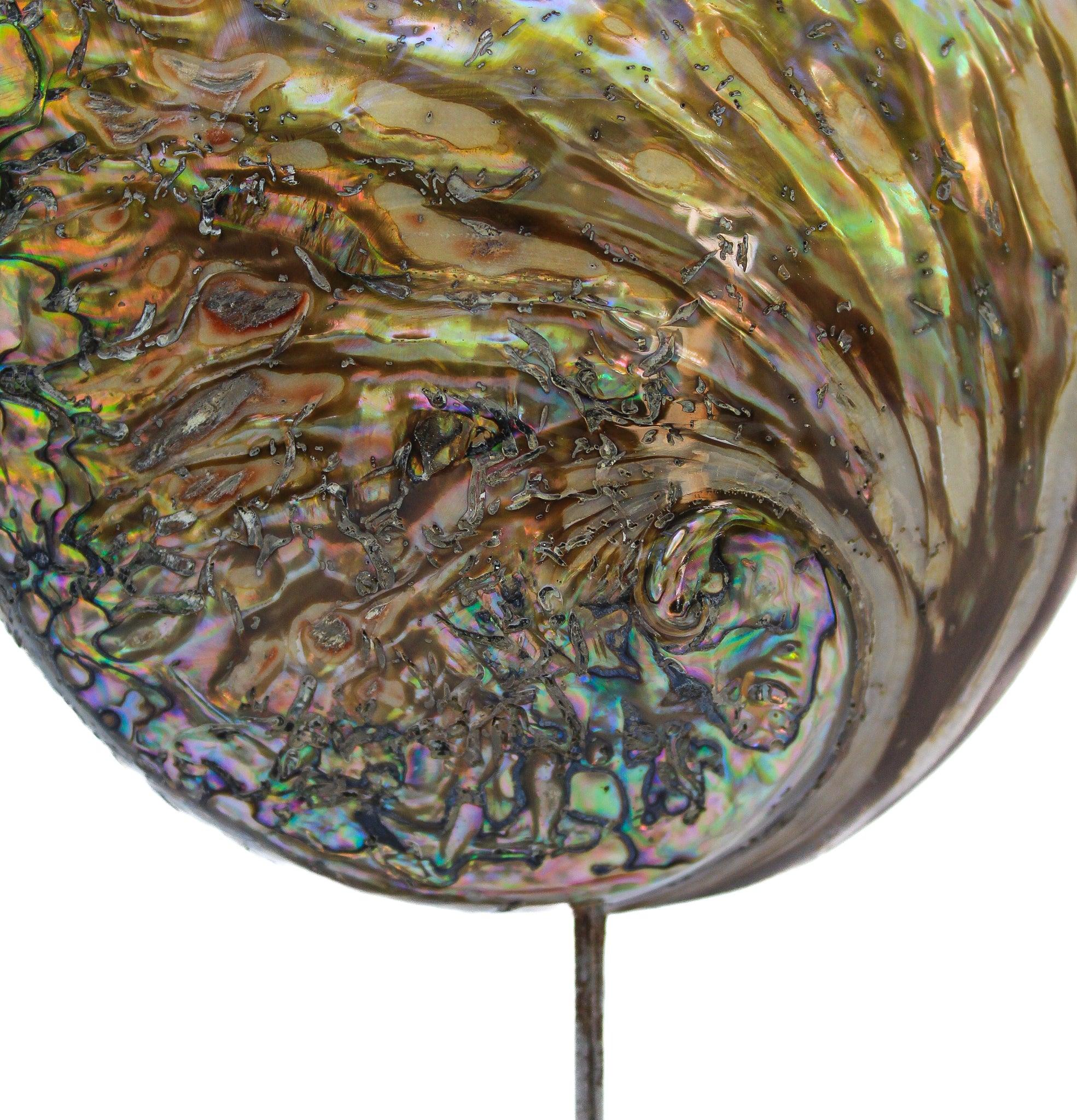 Contemporary Sculptural Abalone Shell with Baroque Pearls on a Polished Agate Base For Sale