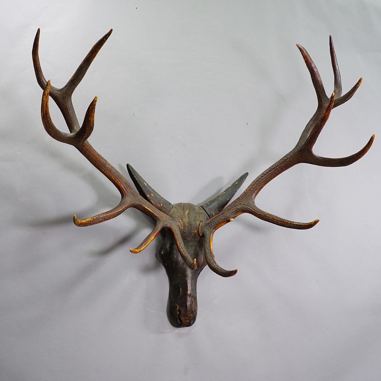 Sculptural Antique Wooden Carved Black Forest Baroque Deer Head For Sale 4