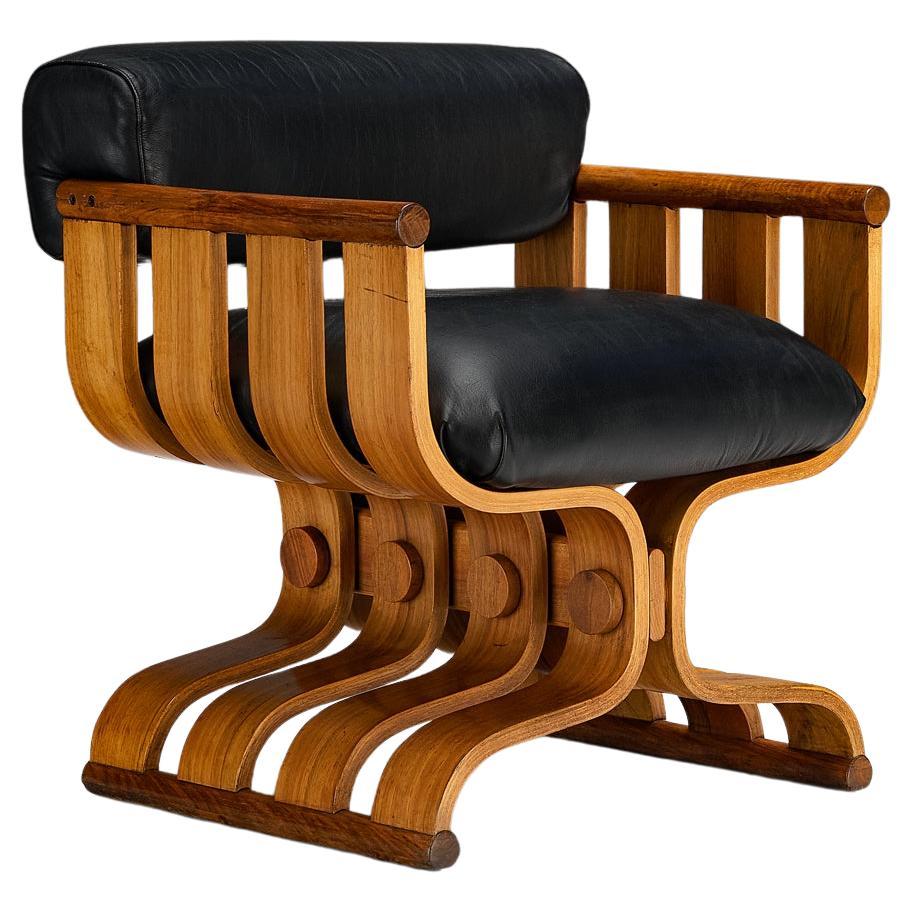 Sculptural Armchair with Organic Curves in Walnut & Black Leather