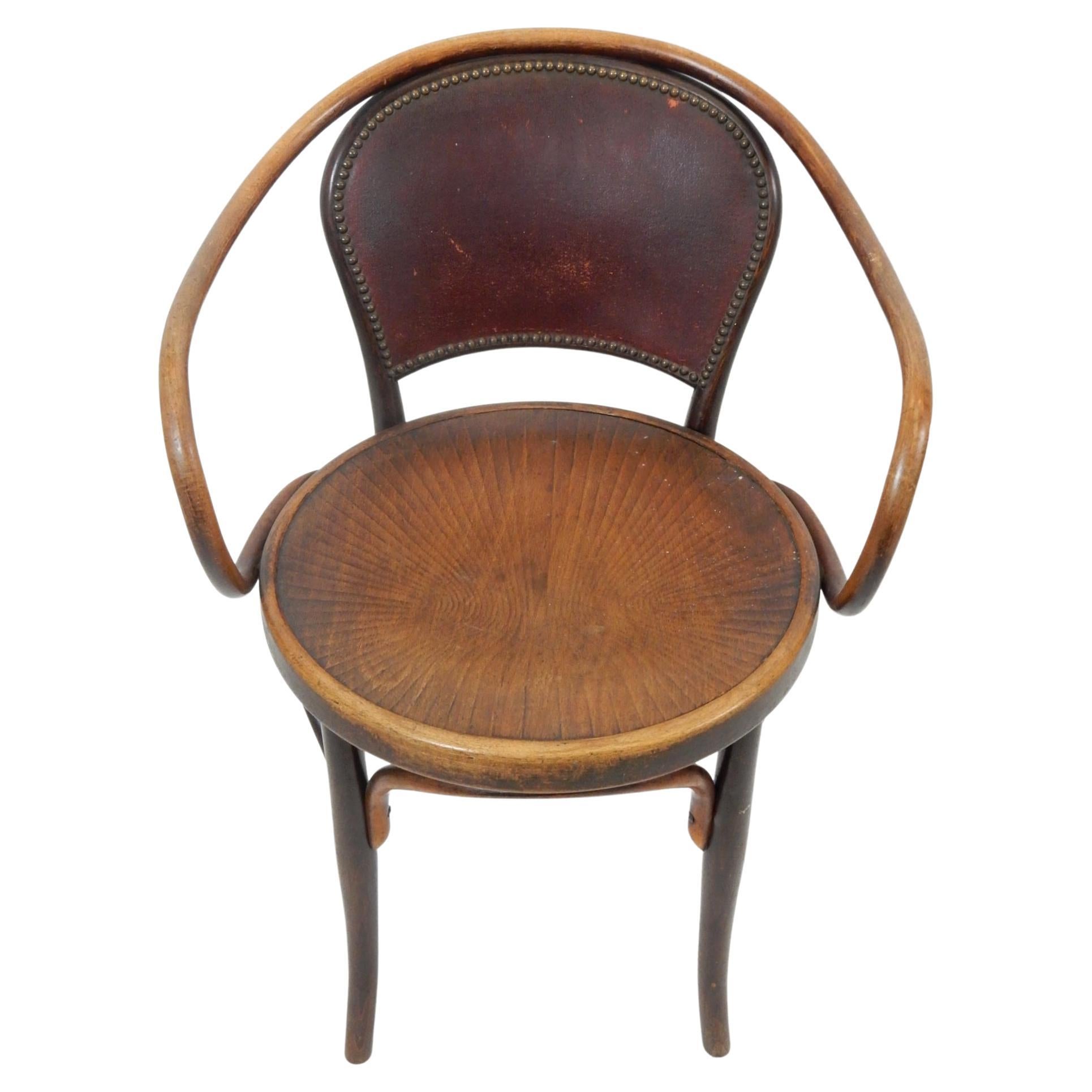 Vienna Secession Sculptural Bentwood Armchair by Jacob & Josef Kohn, circa 1900 For Sale