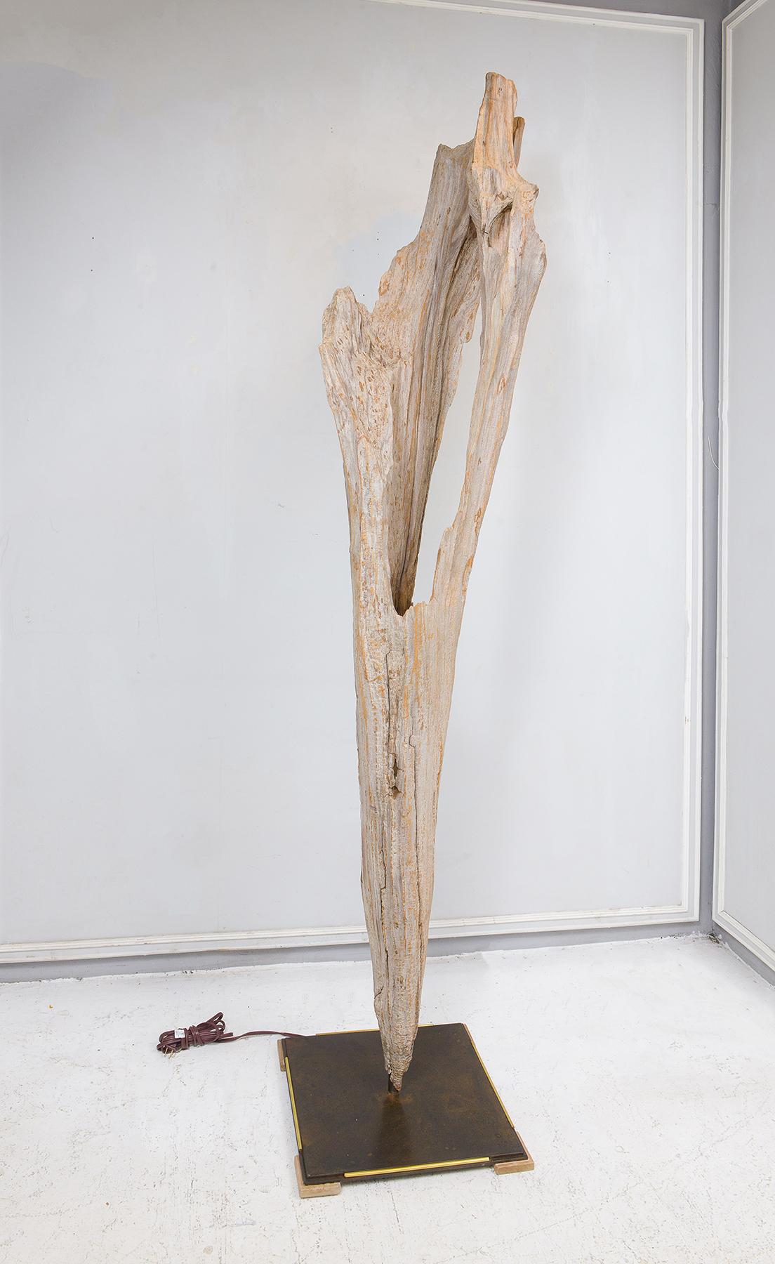 Sculptural Bespoke Driftwood floor lamp.
Note this item can be made to order.
One floor lamp is currently available.
