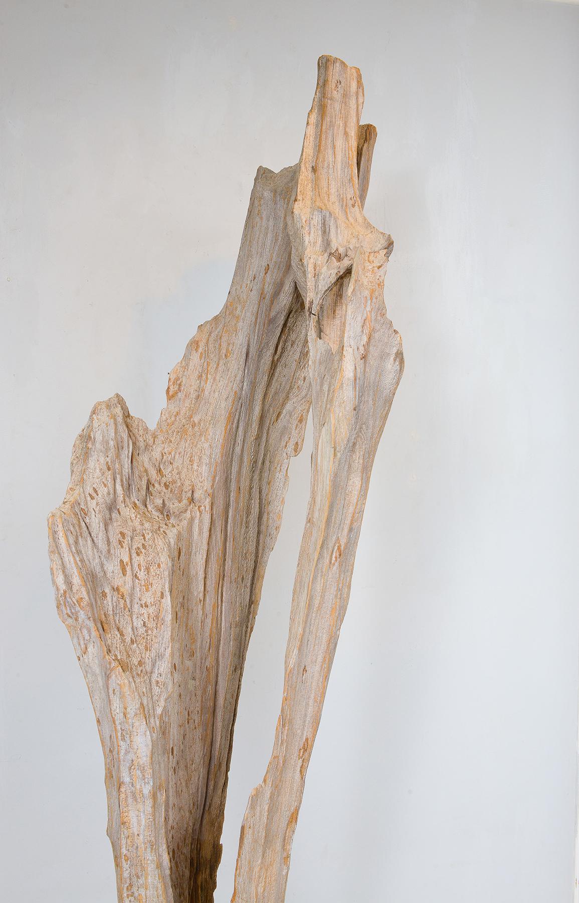 Modern Sculptural Bespoke Driftwood Floor Lamp For Sale