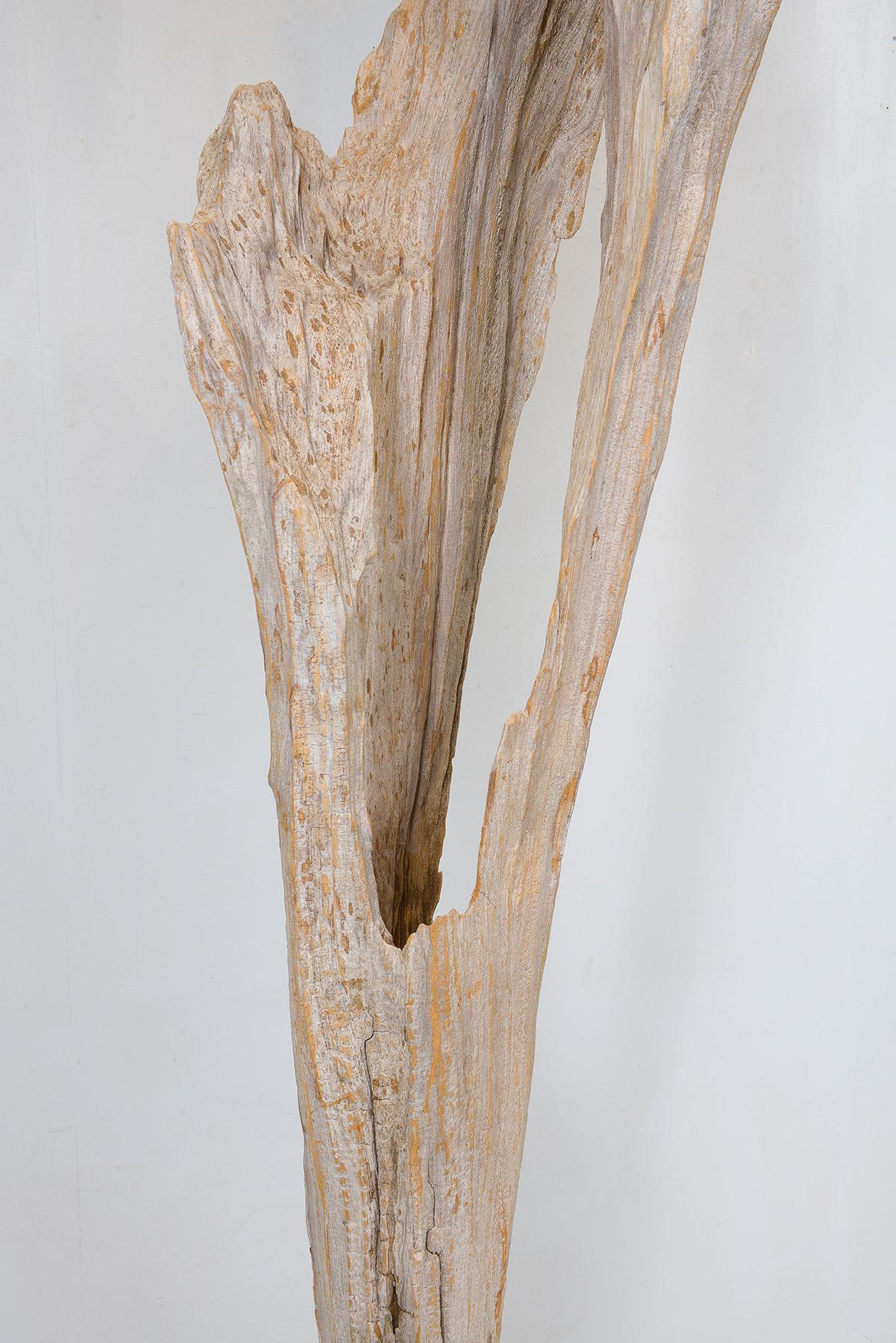 Américain Lampadaire sculptural en bois flotté sur-mesure en vente