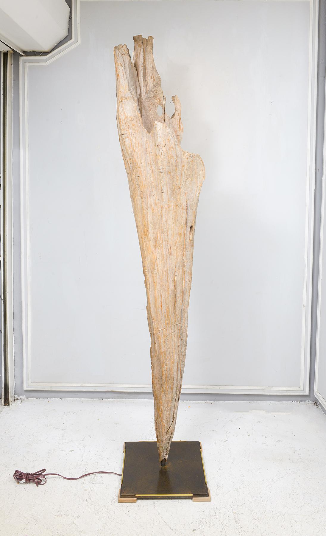 Contemporary Sculptural Bespoke Driftwood Floor Lamp For Sale