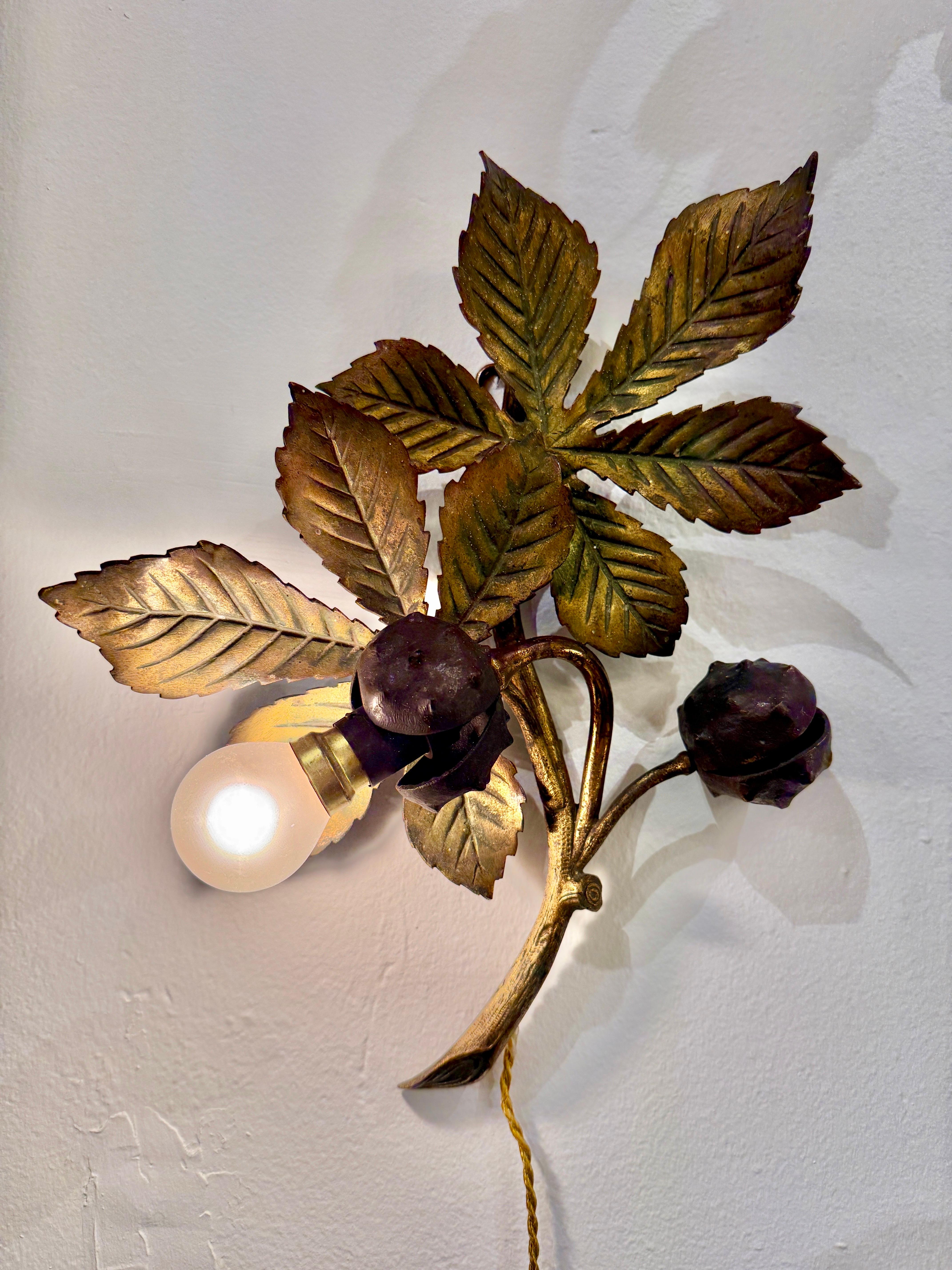 Questa straordinaria applique floreale in bronzo con lampadina singola e due conchiglie di castagno vanta un'impressionante patina scura sul bronzo, in pieno stile Black Forest.  Cablata di recente con un cavo di seta intrecciato in oro.  Un Jewell