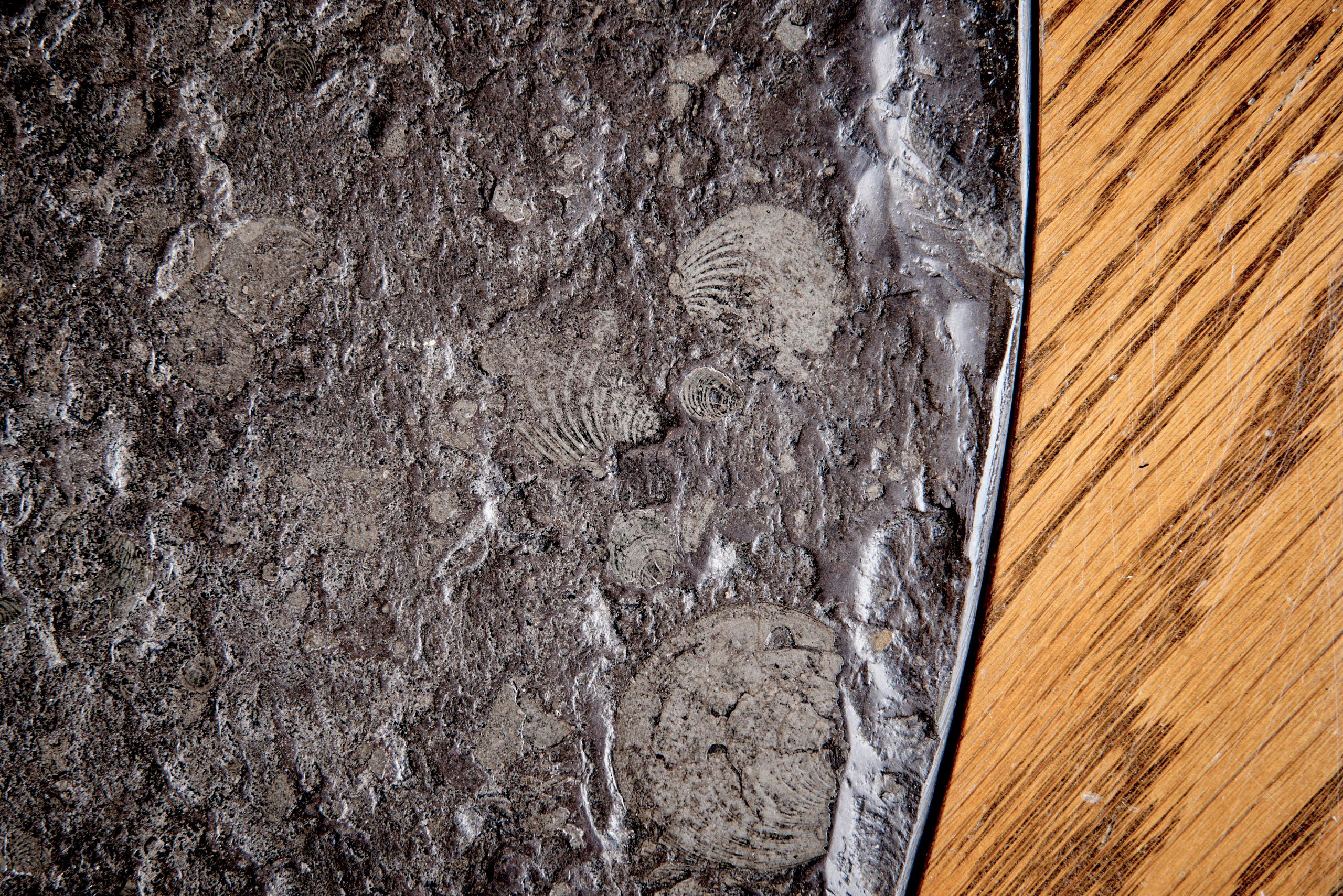 Sculptural Brutalist Oak & Fossil Stone Coffee Table For Sale 2