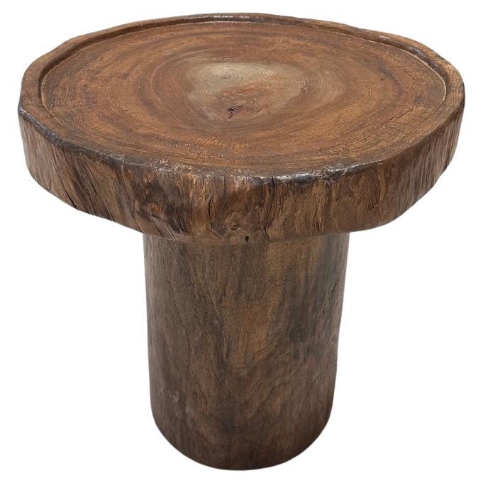 Sculptural Camphor Wood Round Side Table